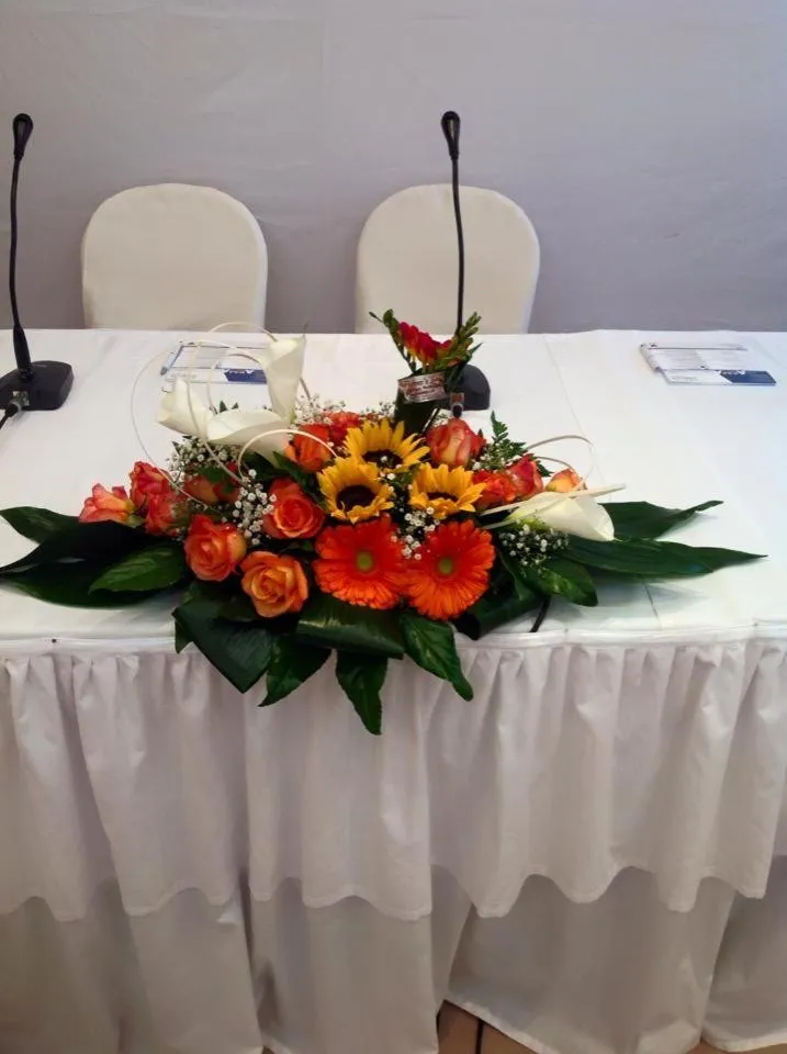 Business facilities in Hotel Serenella