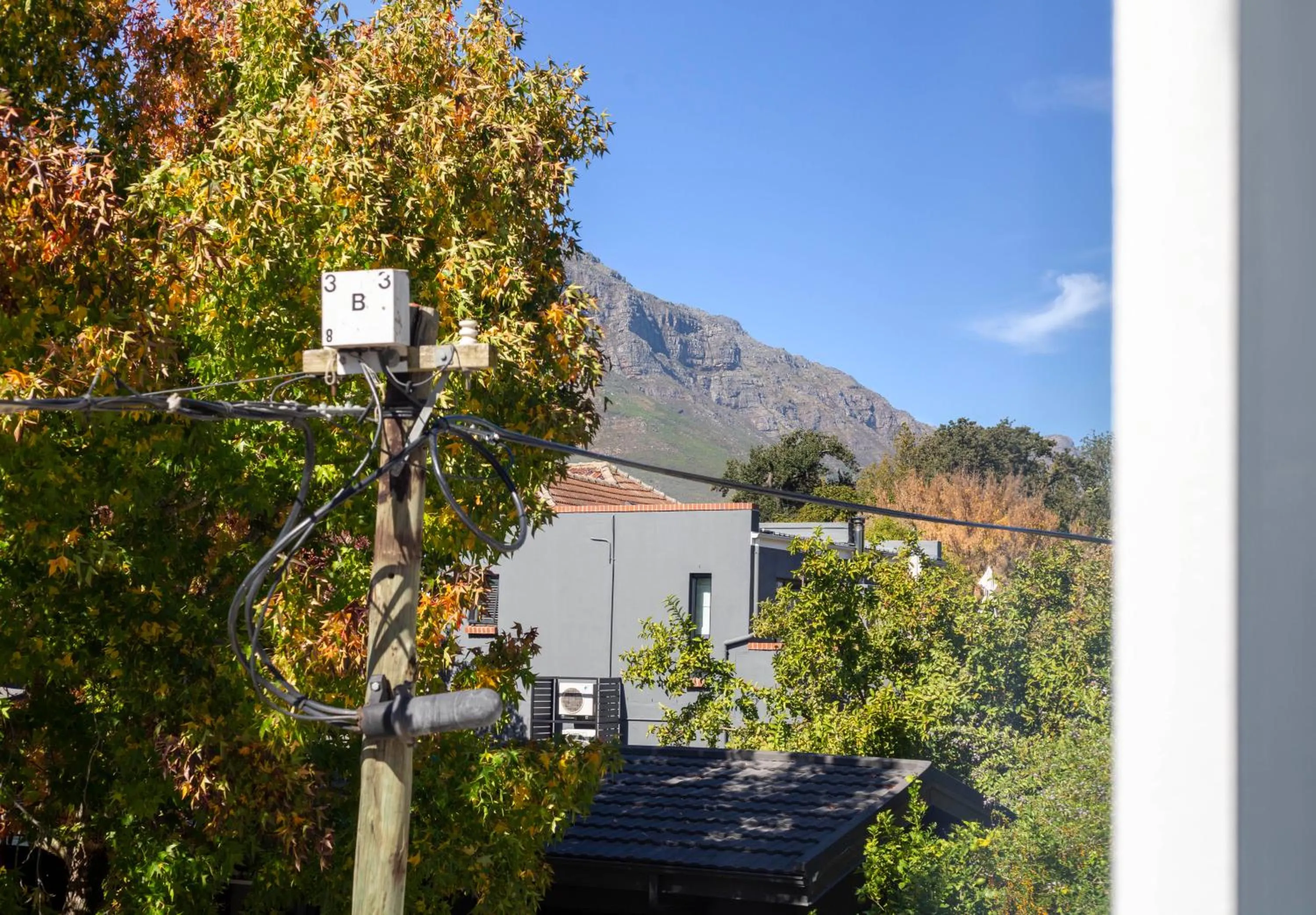 Natural landscape in Hotel Krige