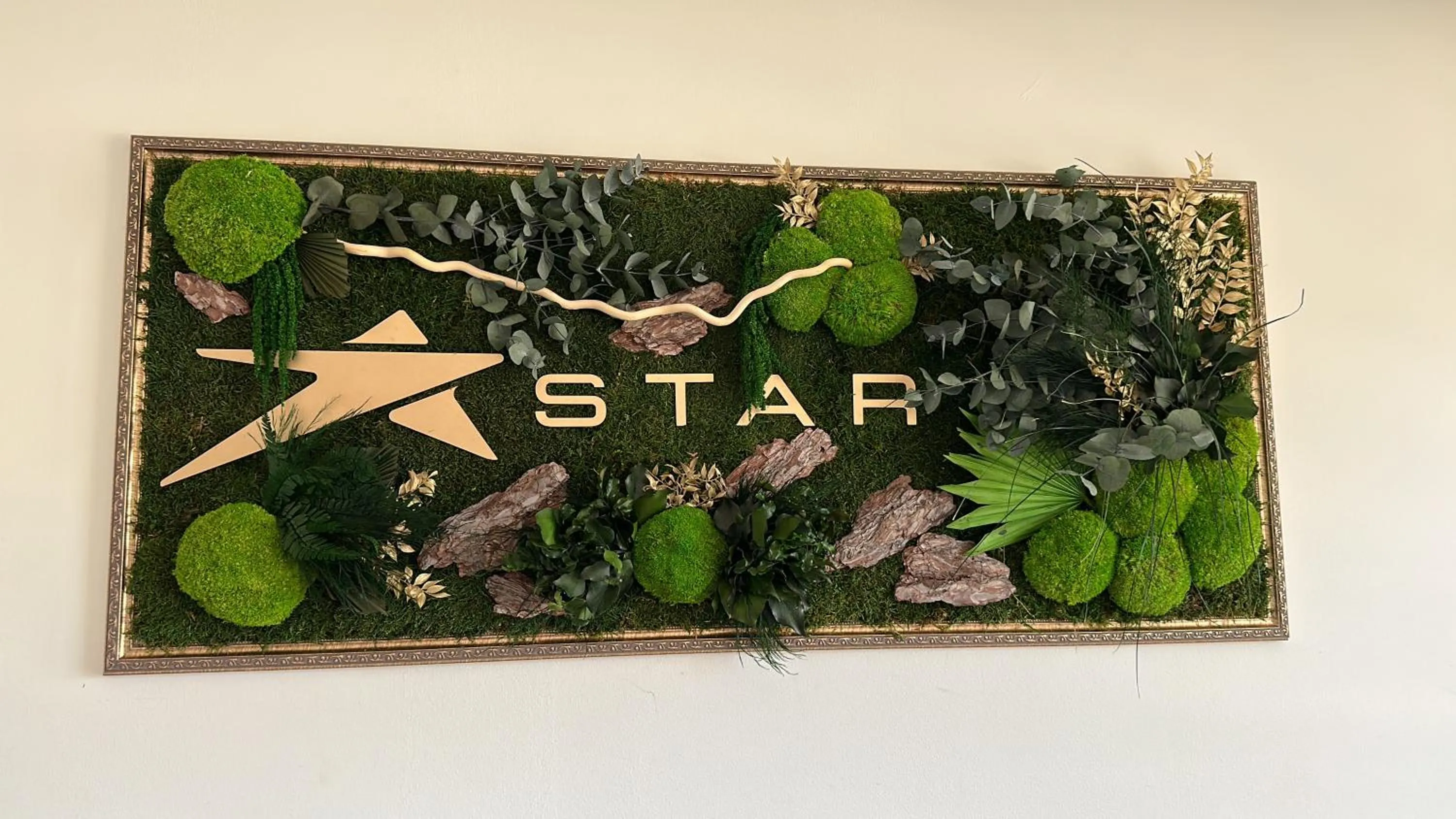 Property building in Star Hotel