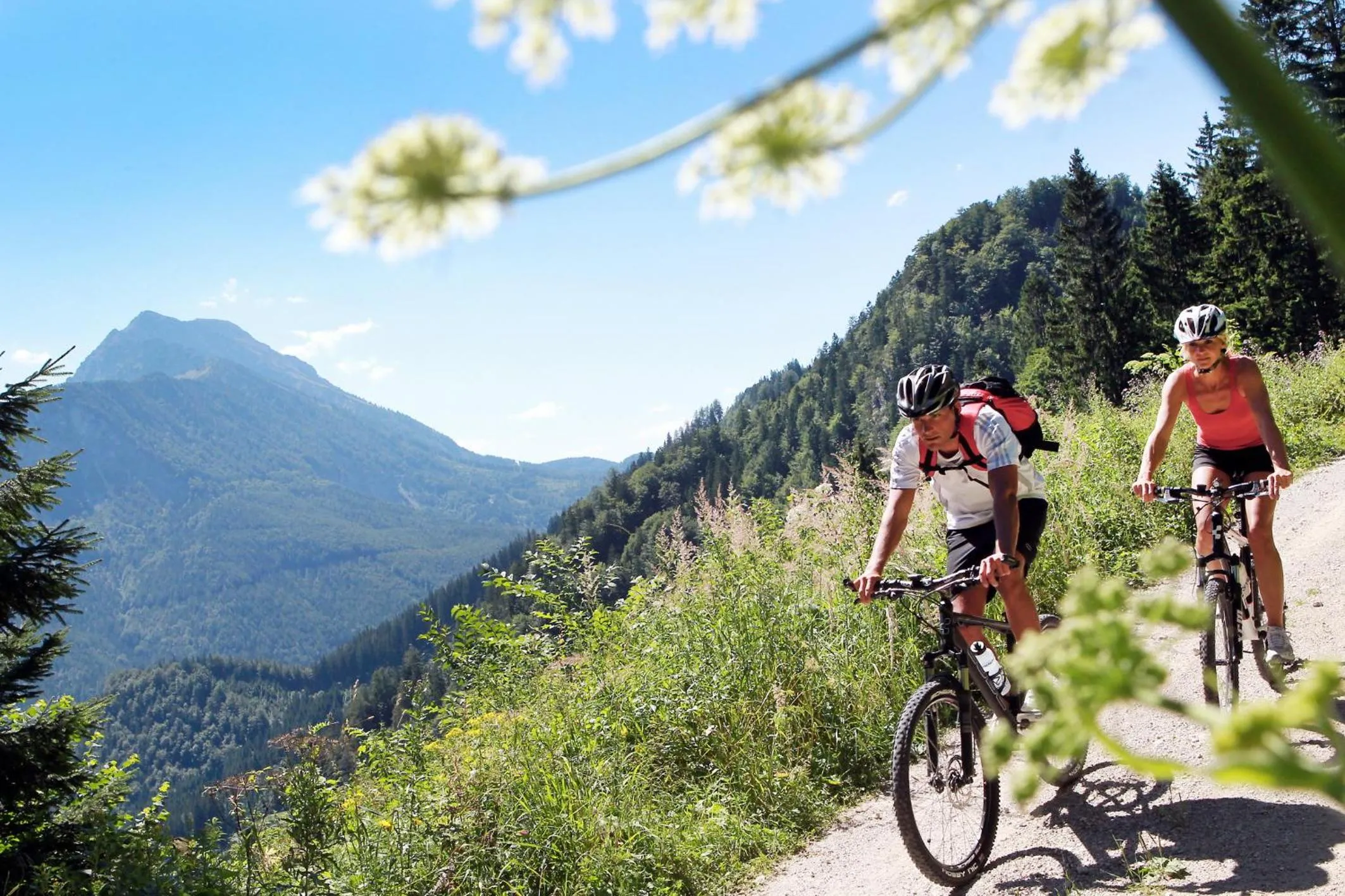 Cycling in Steinschalerhof