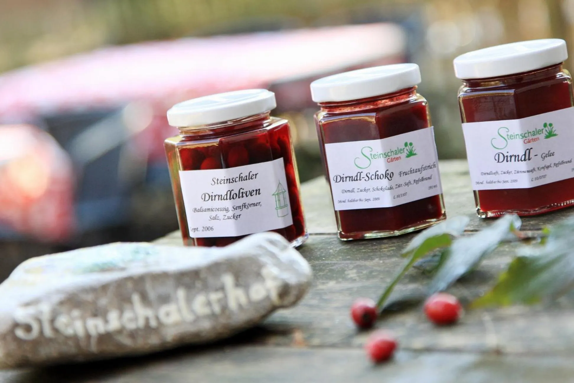 Food and drinks in Steinschalerhof