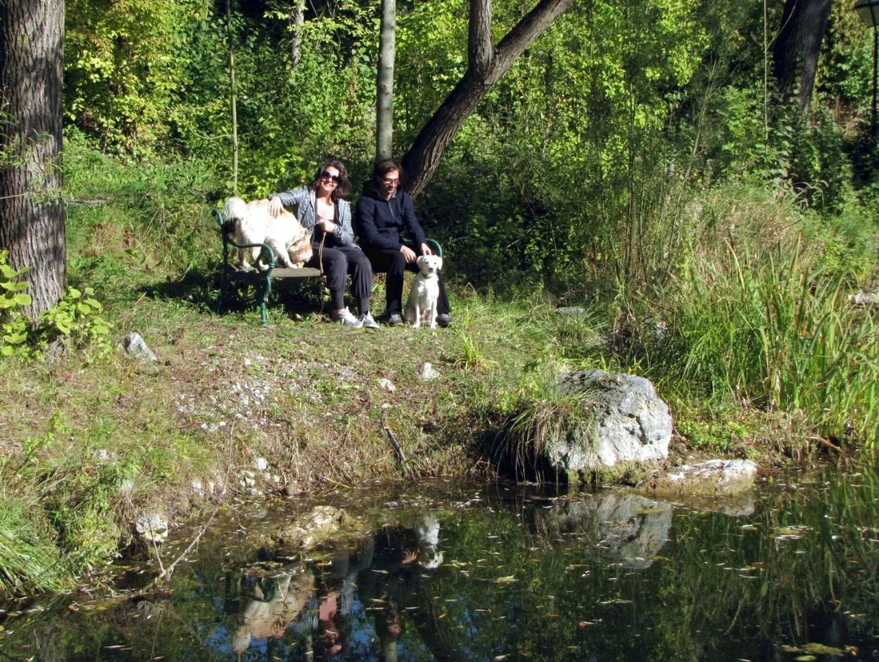Garden in Steinschalerhof