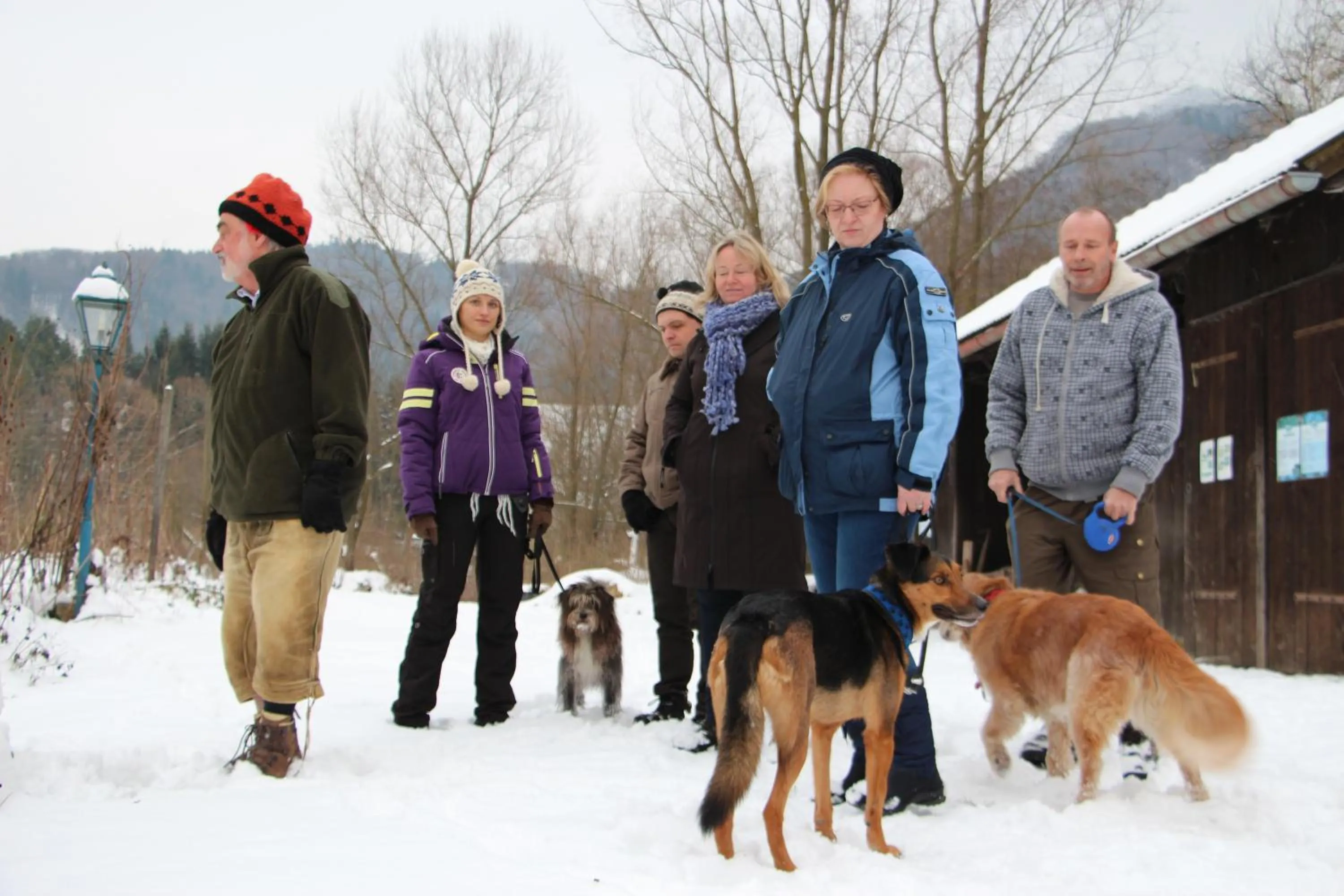 Winter in Steinschalerhof