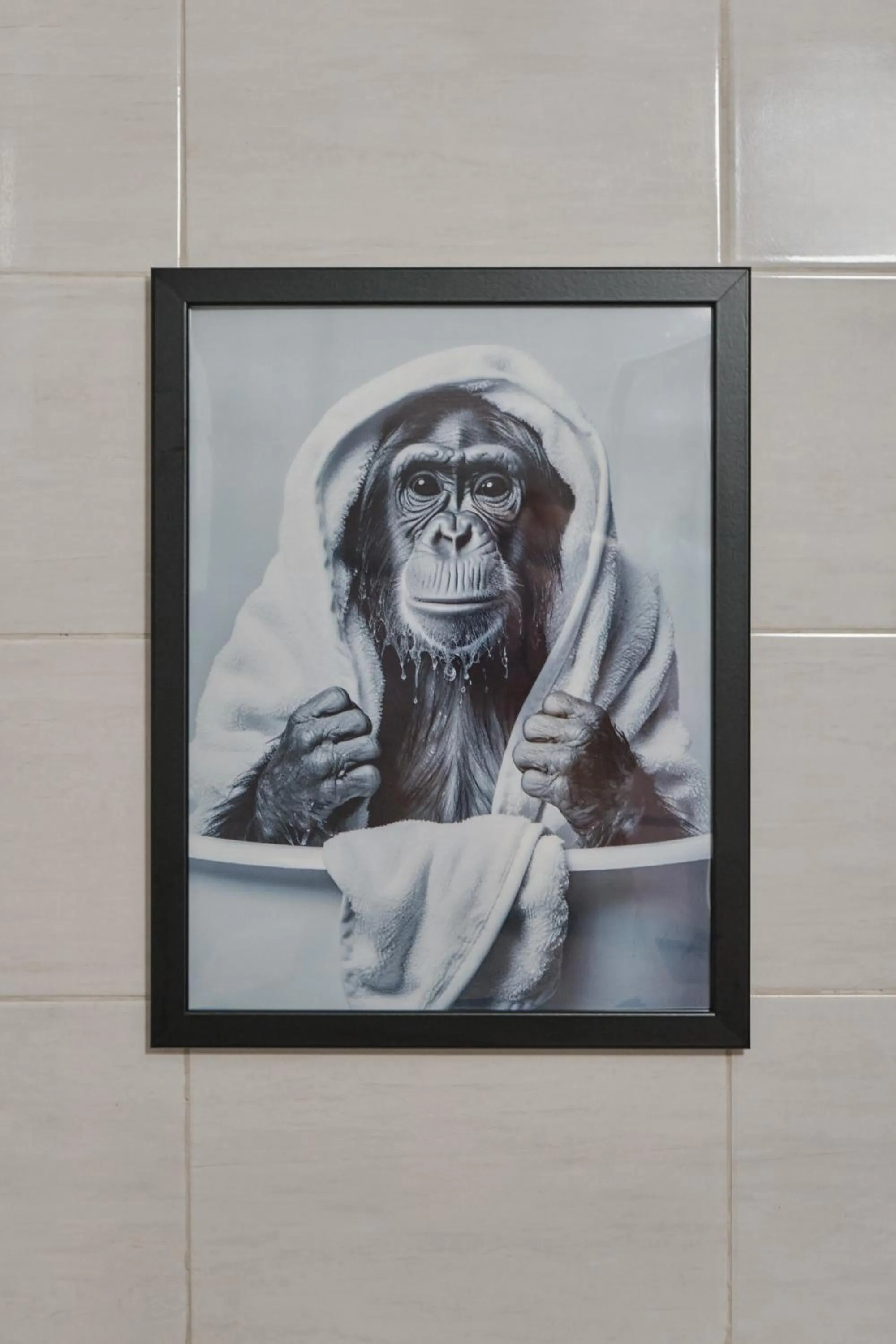 Seven City Apartments