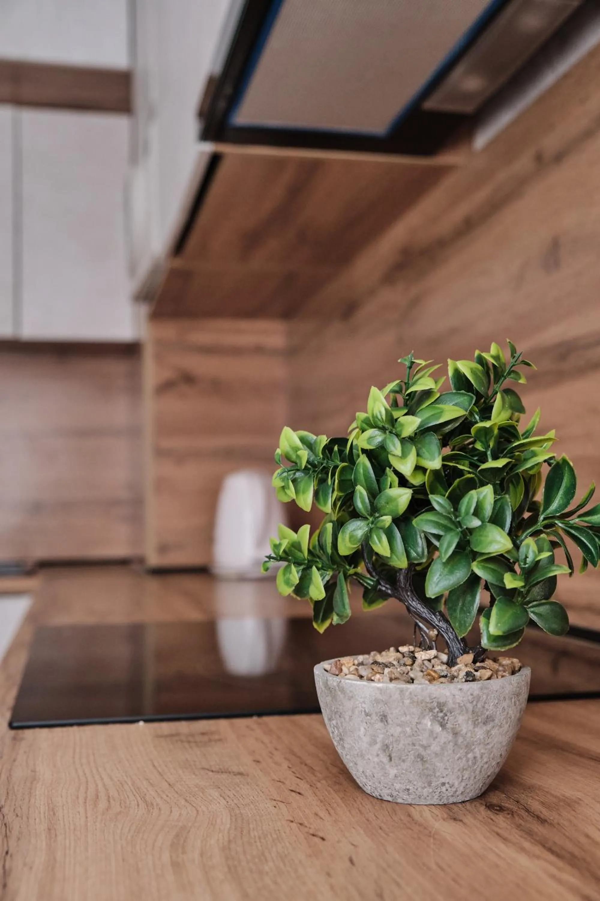 Seven City Apartments