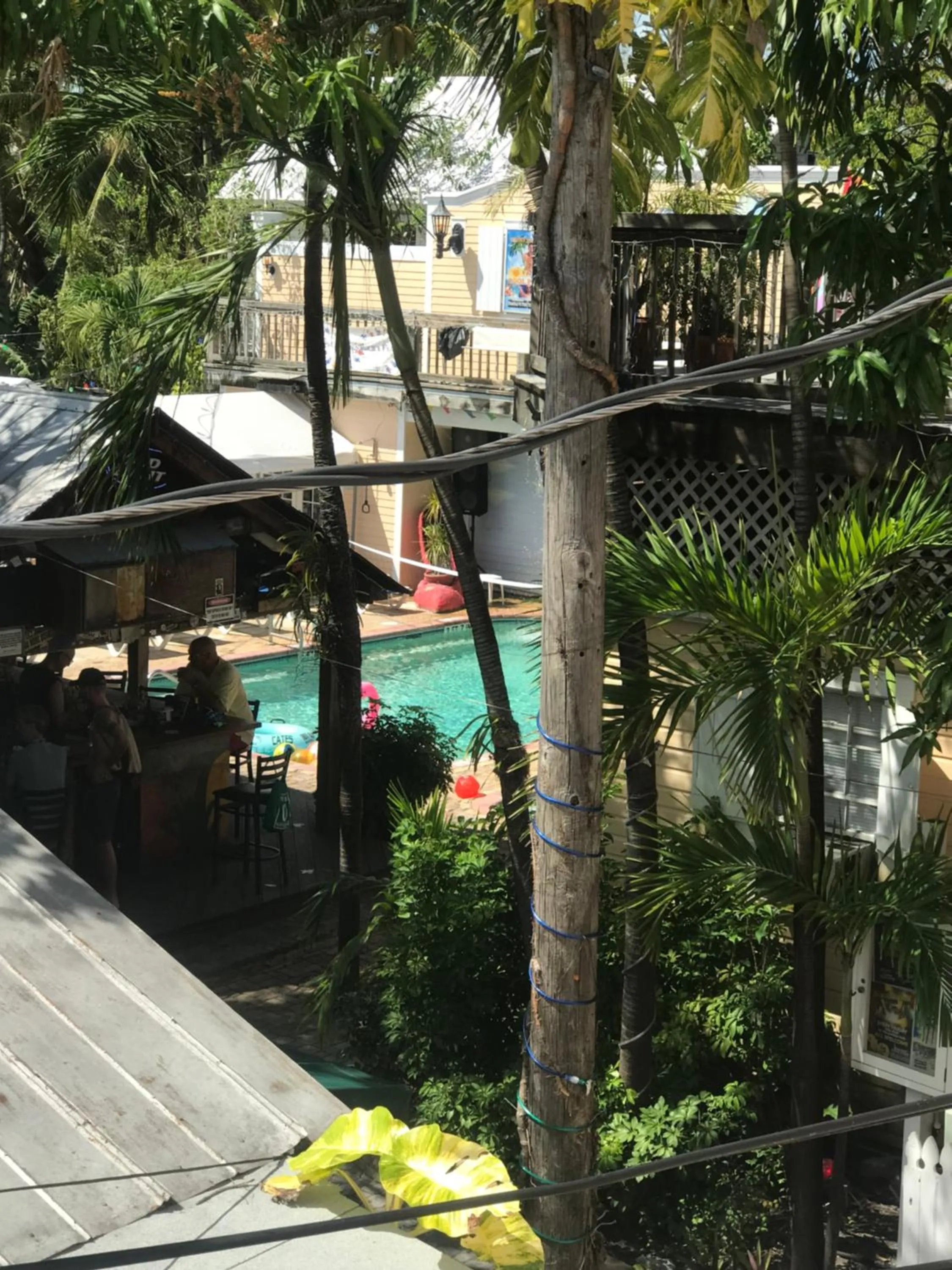 Pool view in New Orleans House - Gay Male Adult Guesthouse