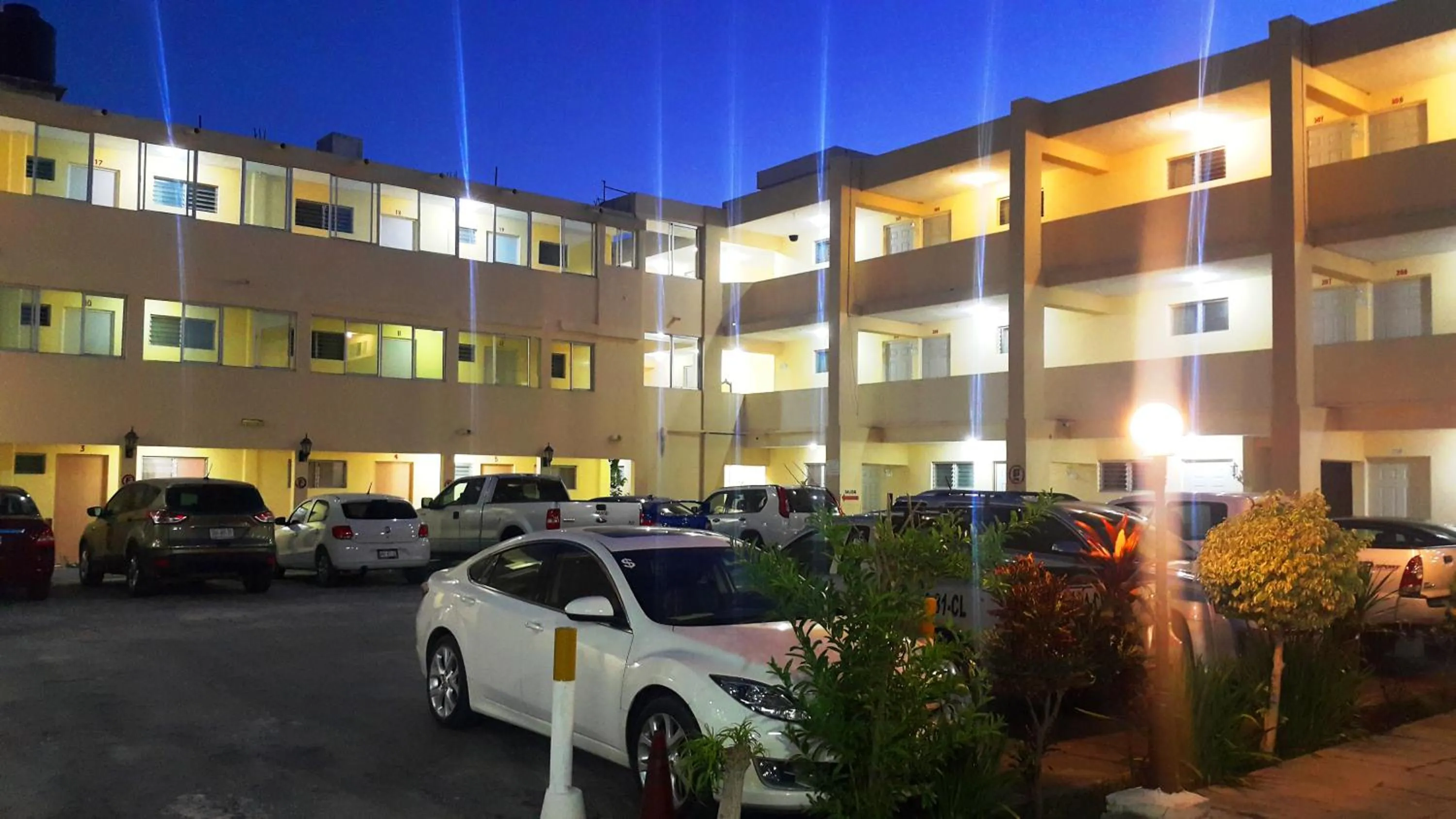 Area and facilities in Hotel El Marques