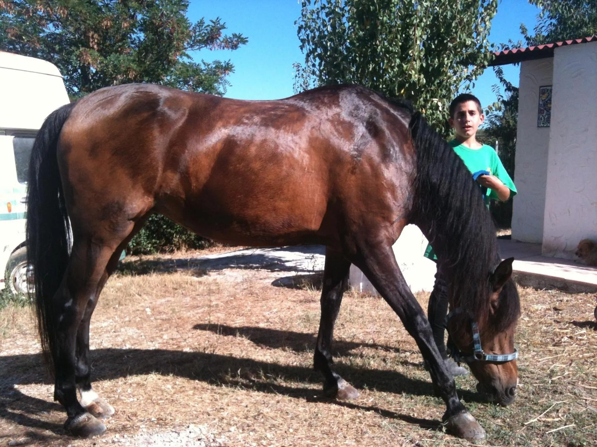 Activities in B&B Badde Cubas