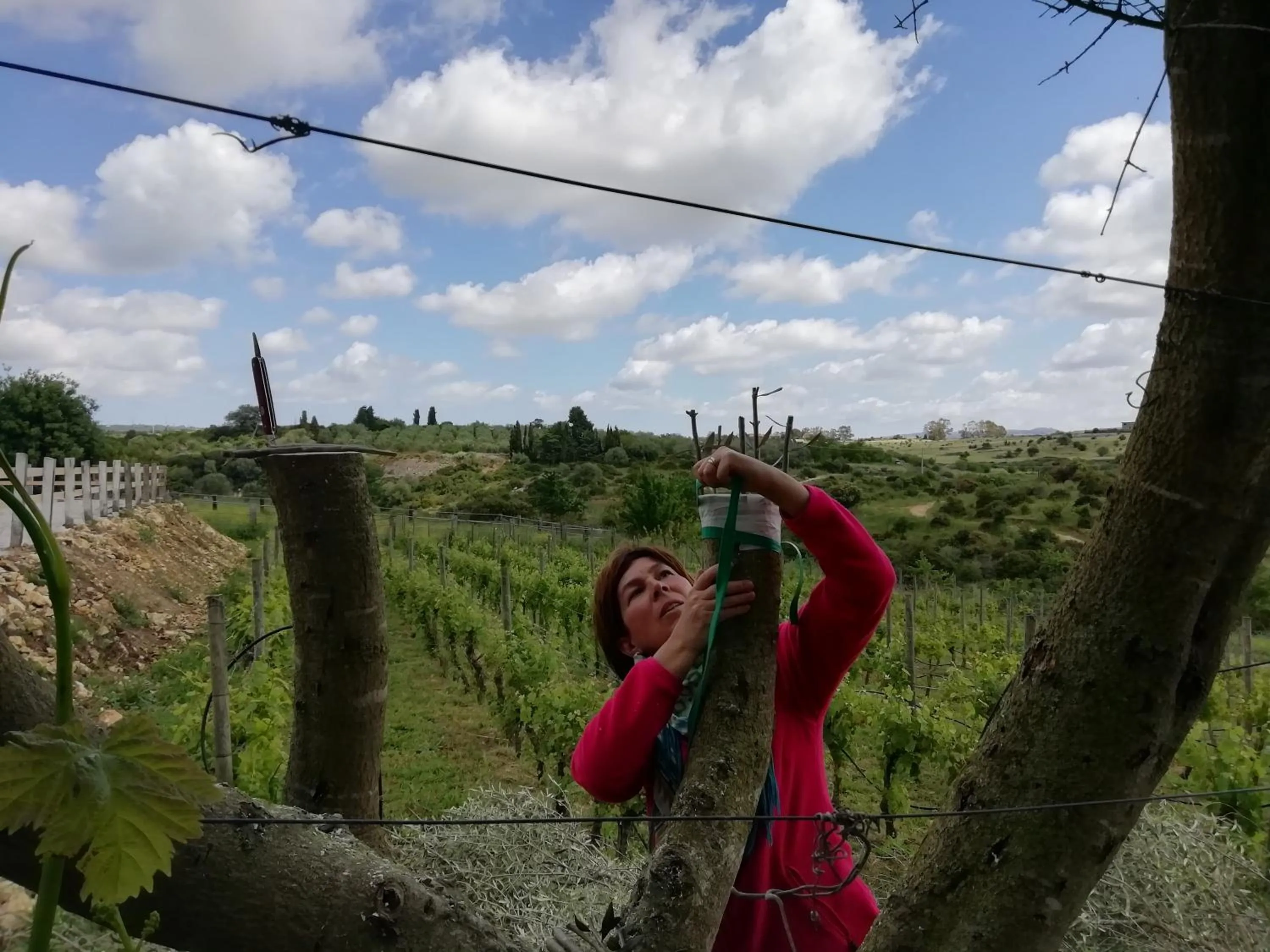 People in B&B Badde Cubas