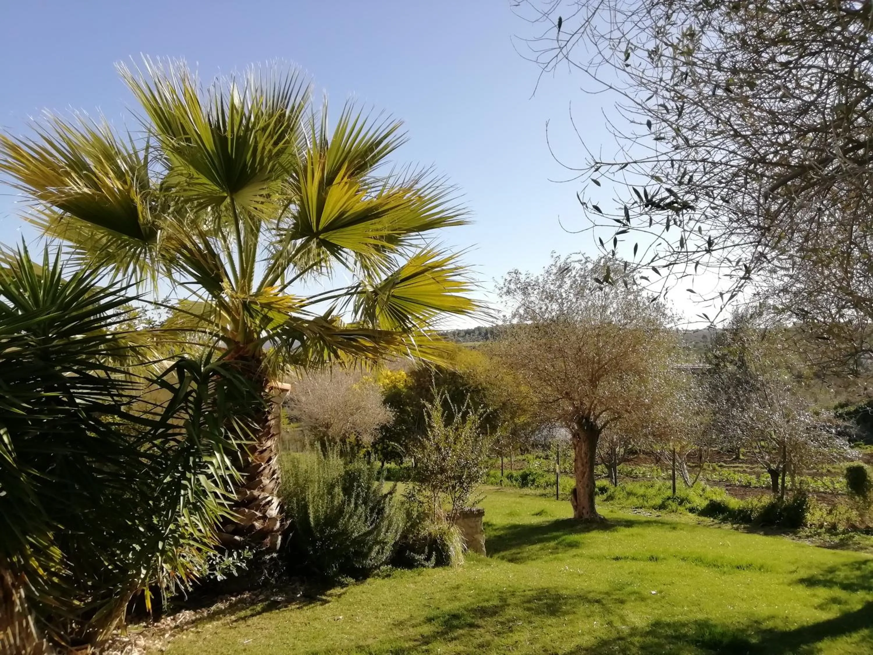 Spring in B&B Badde Cubas