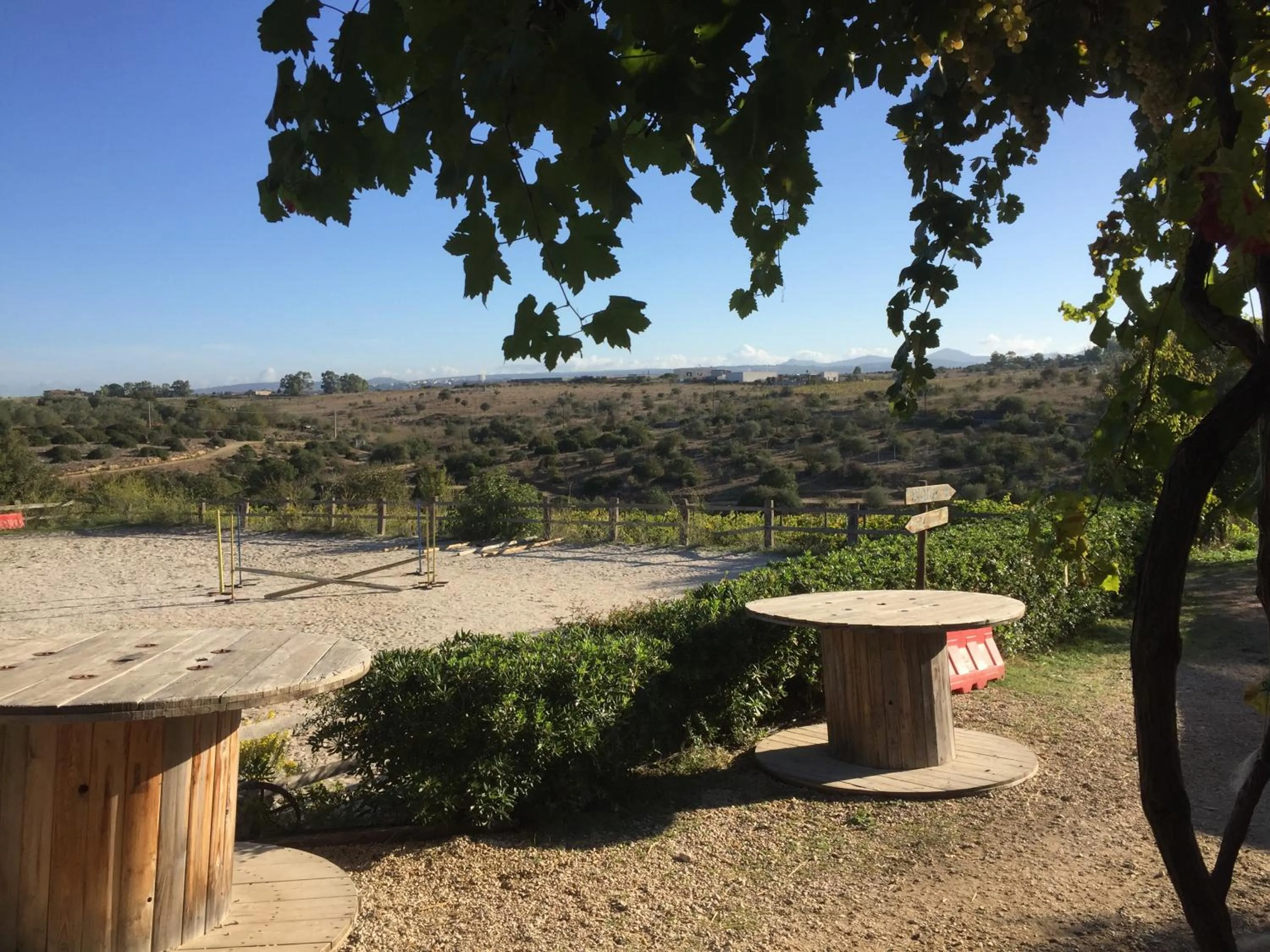 Garden in B&B Badde Cubas