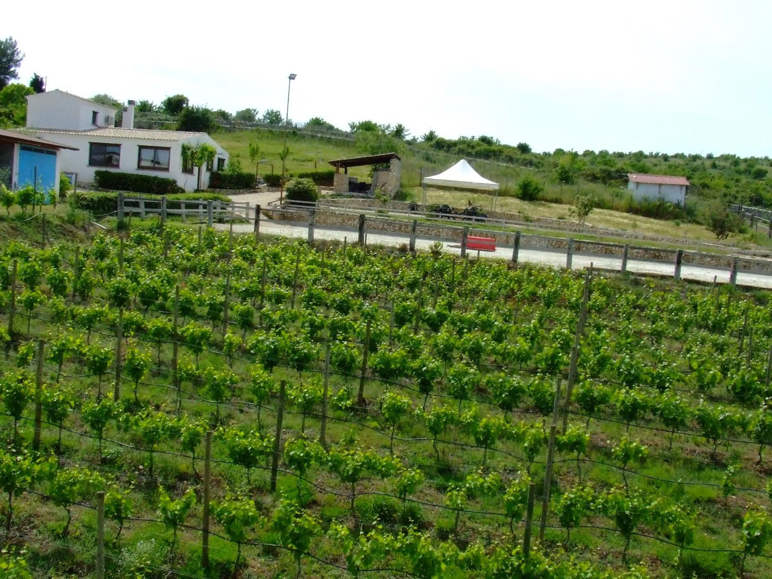 Facade/entrance in B&B Badde Cubas