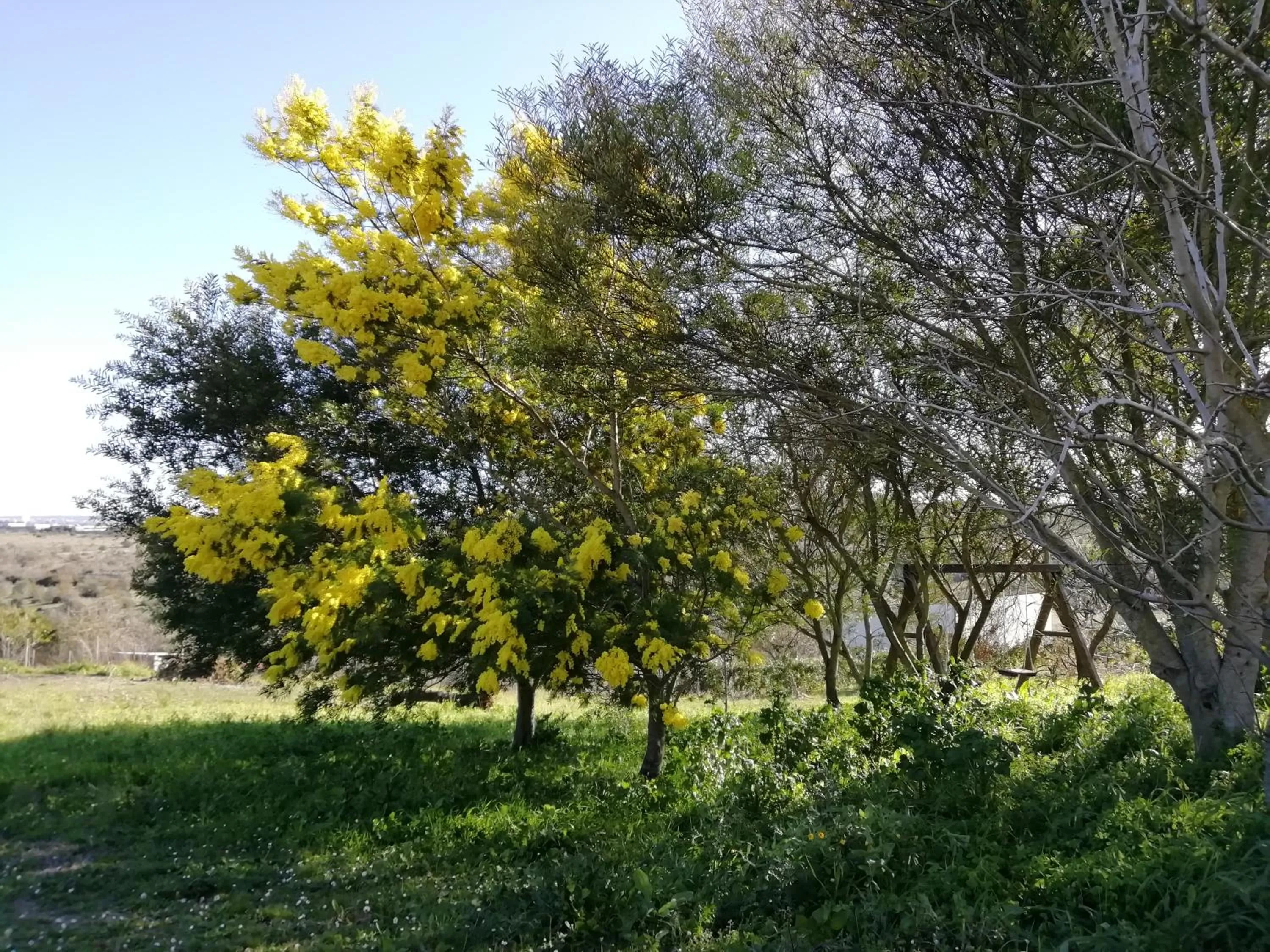 Spring in B&B Badde Cubas