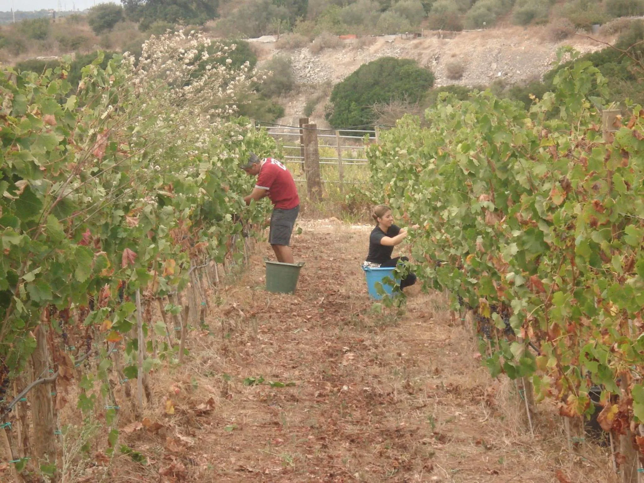 Staff in B&B Badde Cubas