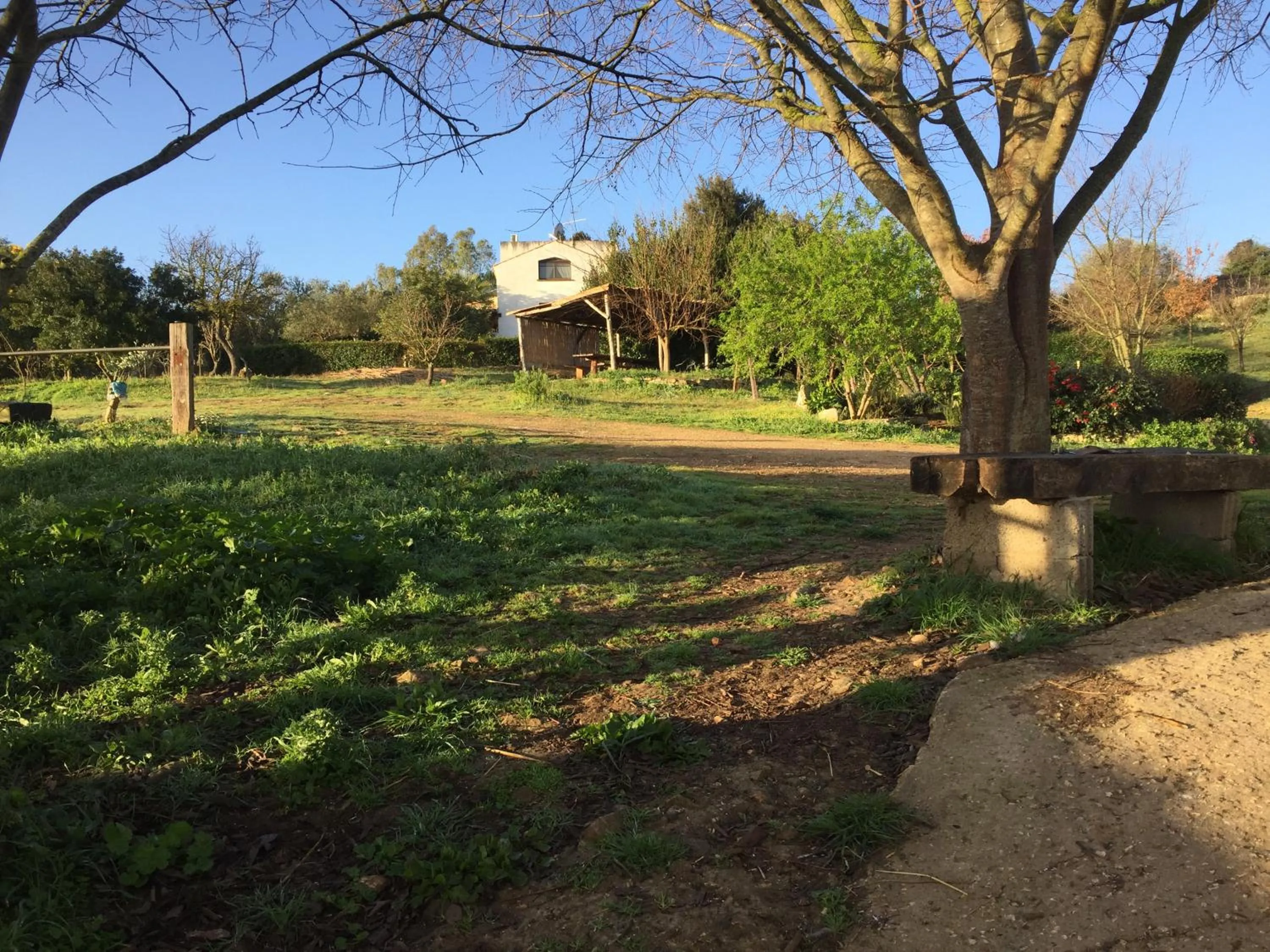 Garden in B&B Badde Cubas