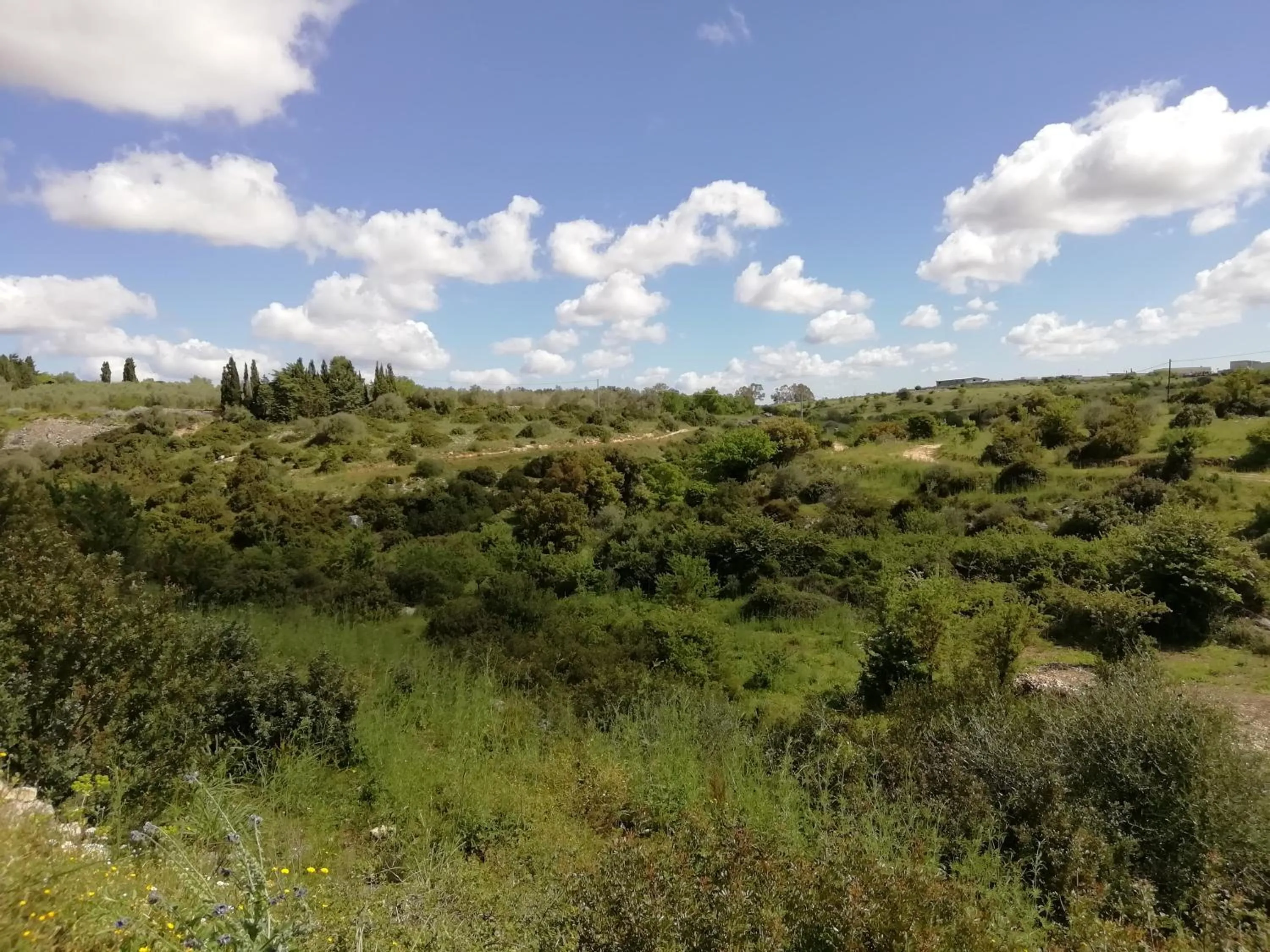 Nearby landmark in B&B Badde Cubas