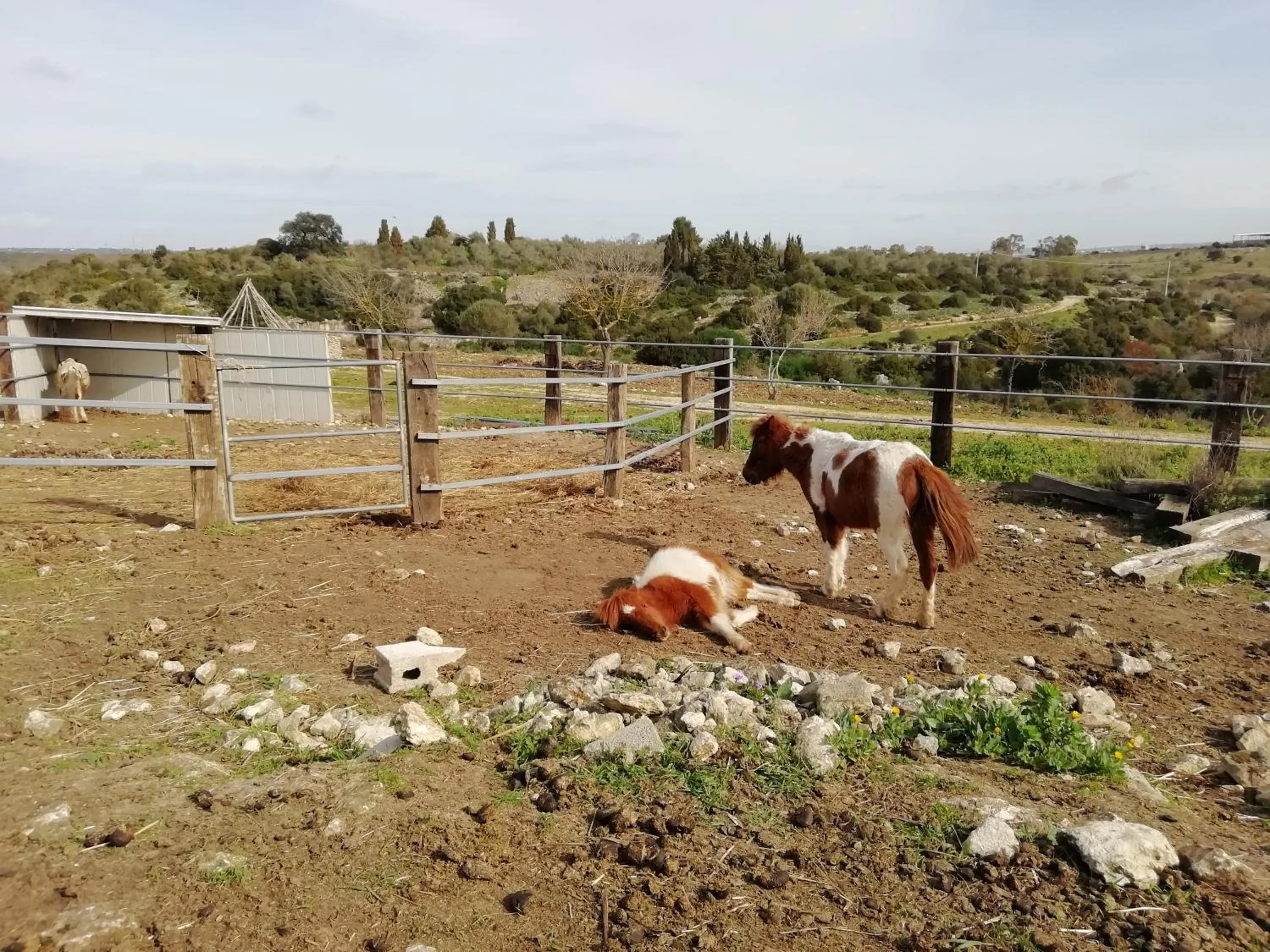 Day in B&B Badde Cubas