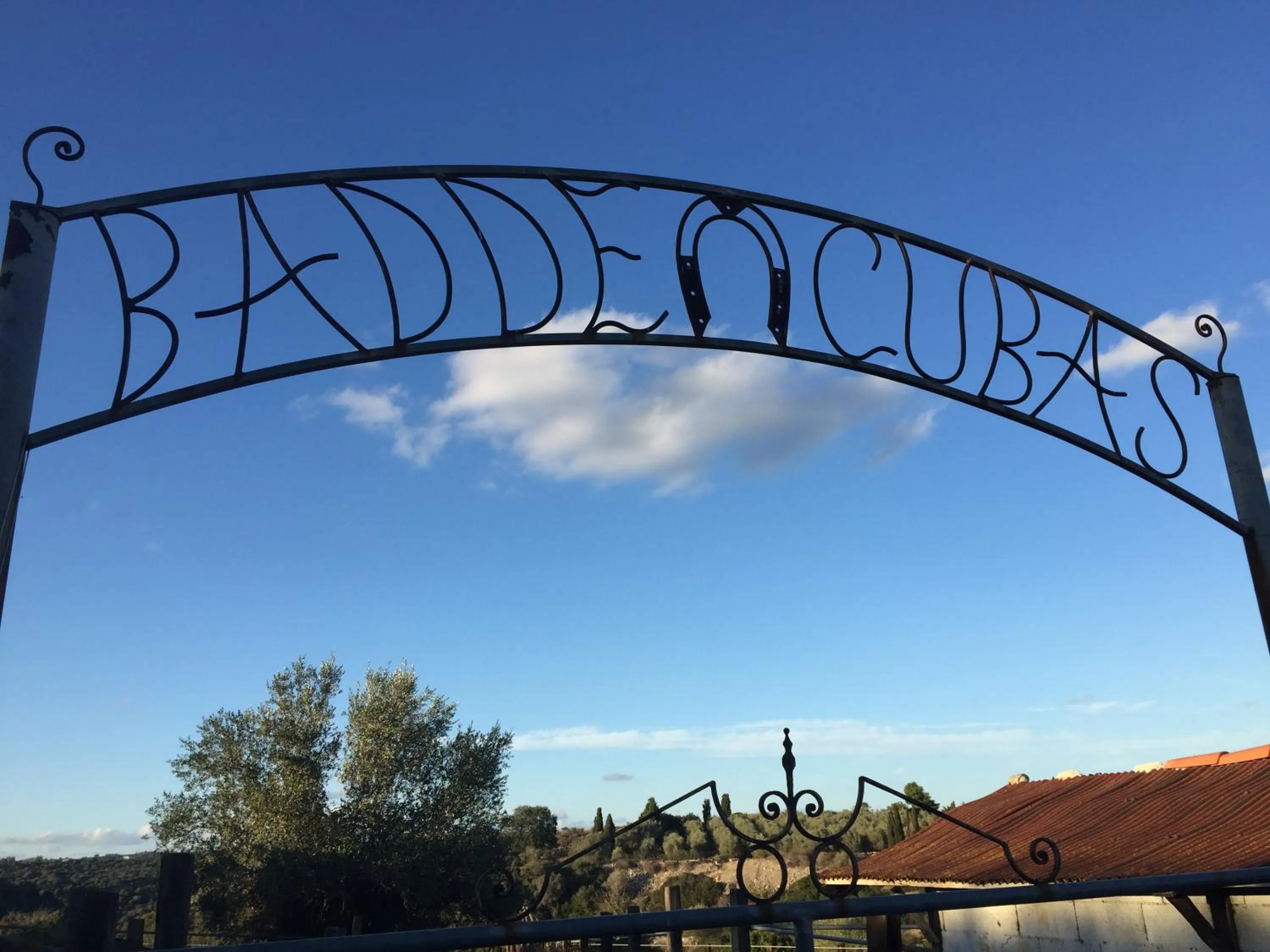 Activities in B&B Badde Cubas
