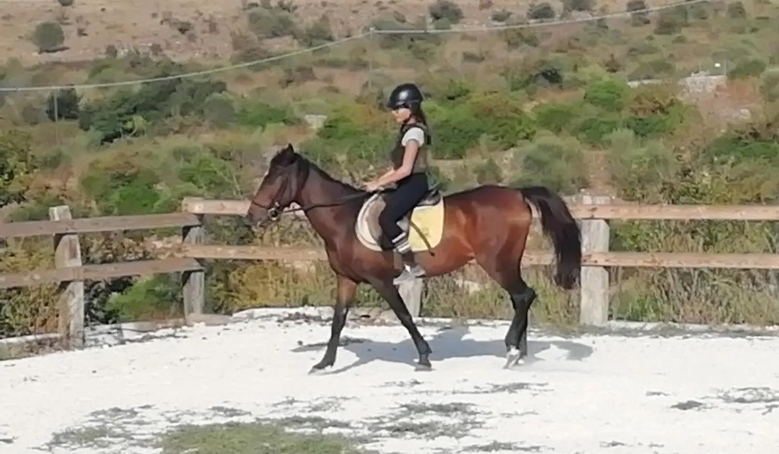 Horse-riding in B&B Badde Cubas