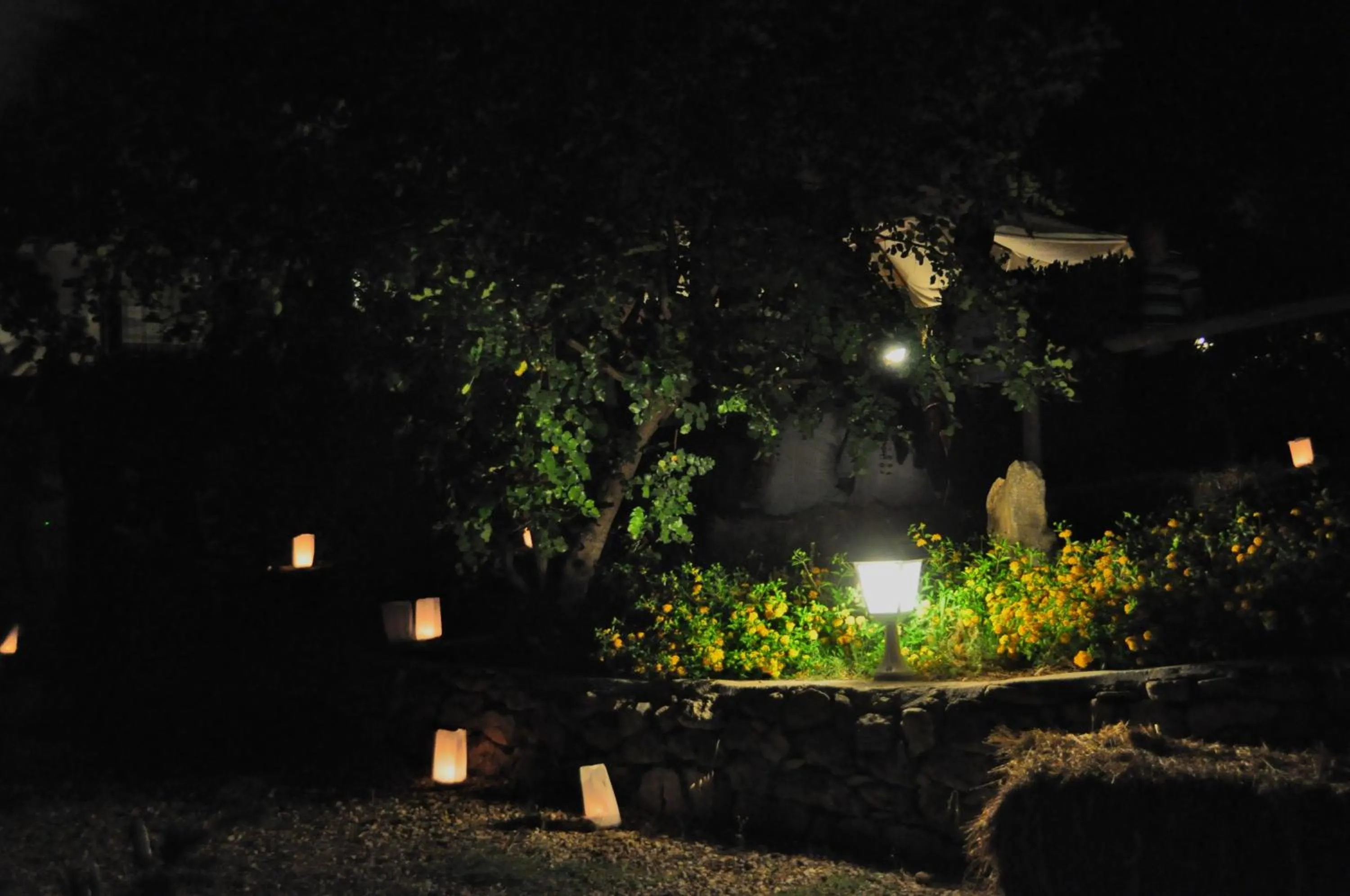 Night in B&B Badde Cubas