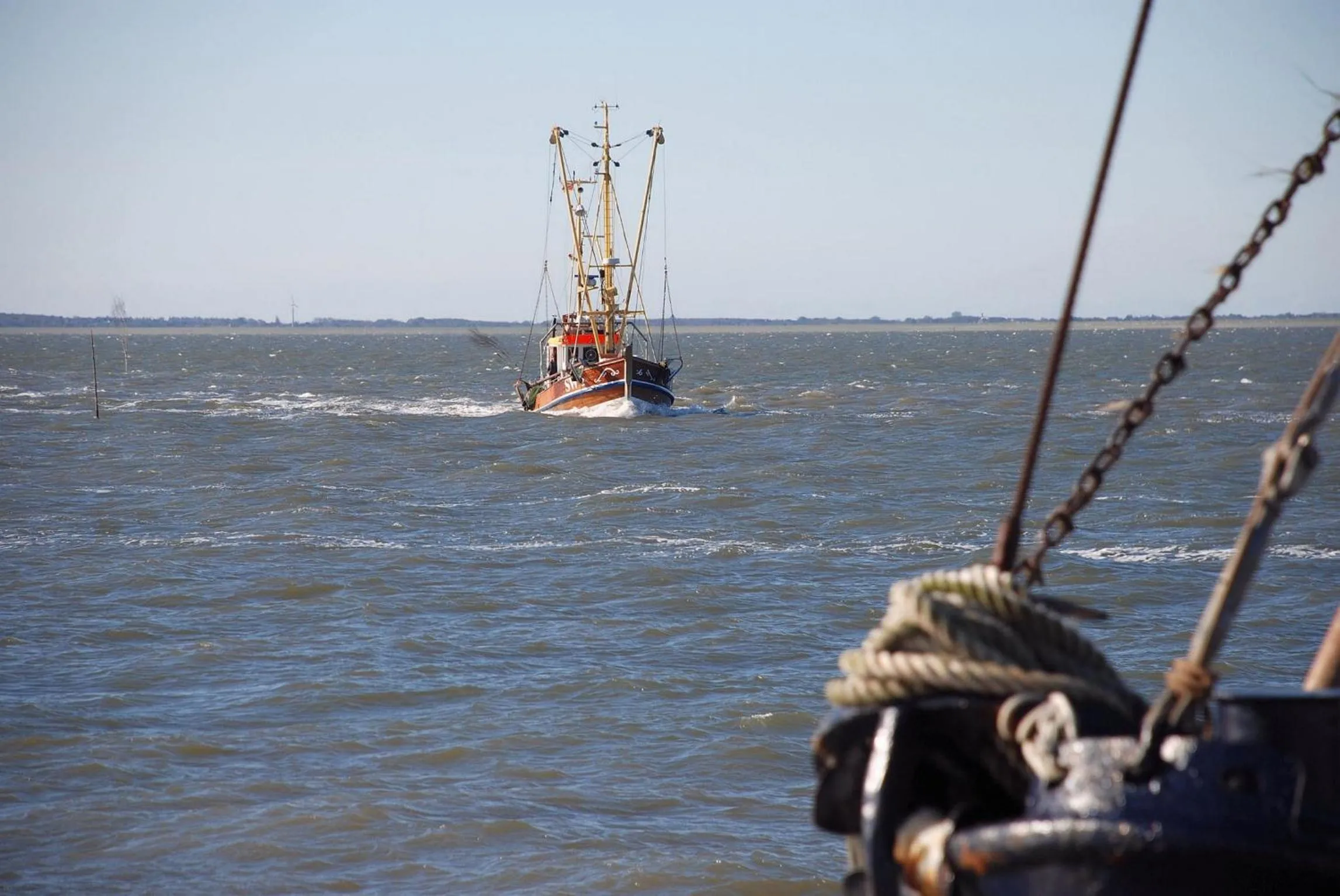 Natural landscape in Strandhotel Dagebüll direkt an der Nordsee
