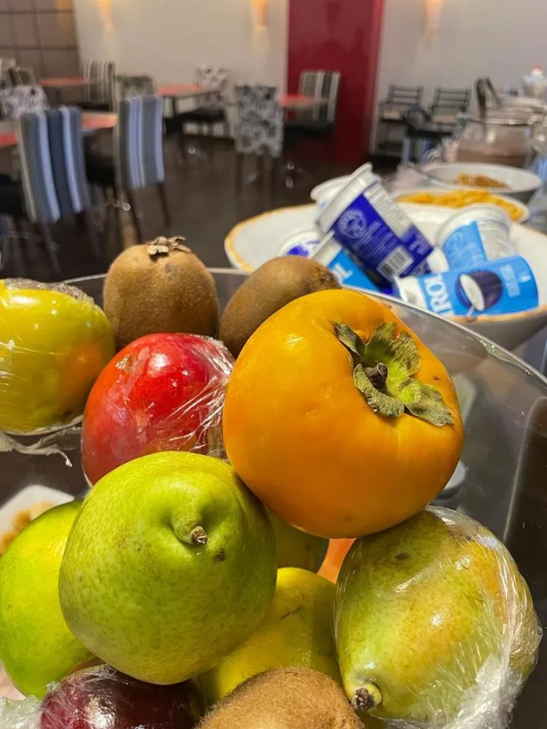 Santa Catarina Plaza Hotel