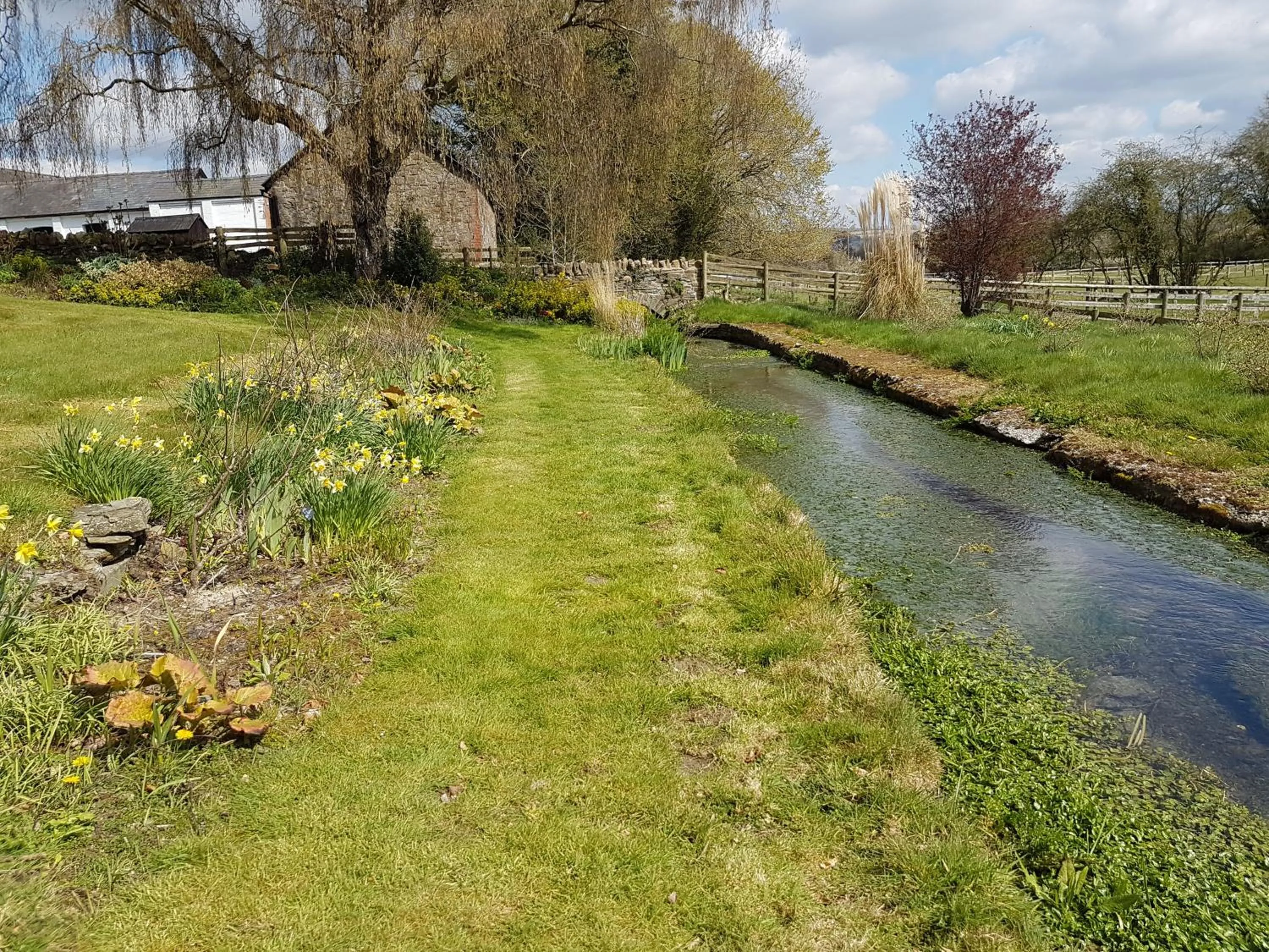 Garden in Upper Buckton B&B