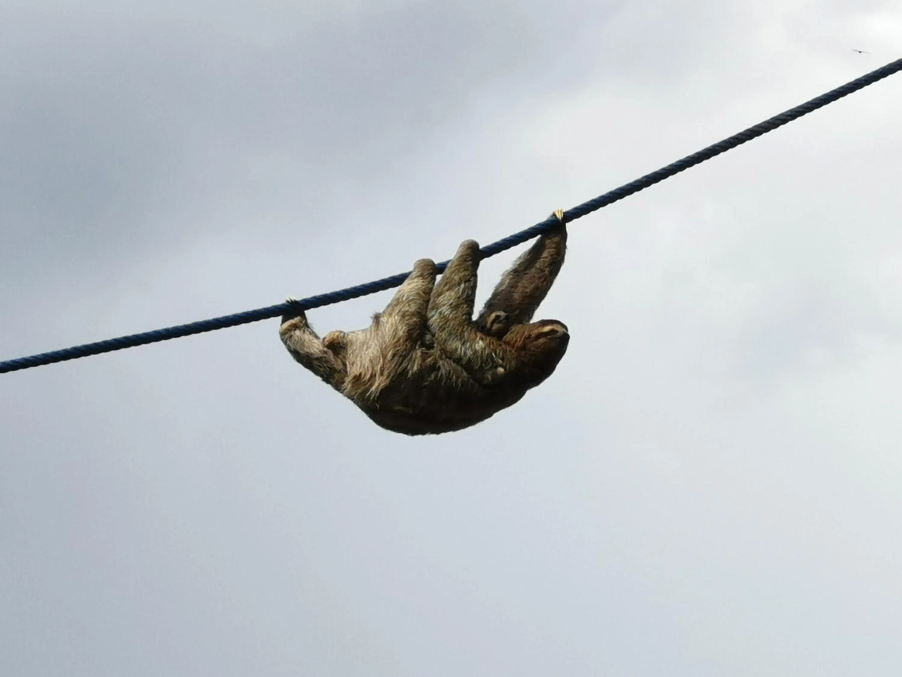 Three Bedroom Jungle Beach House in Jungle Beach Hotel Manuel Antonio