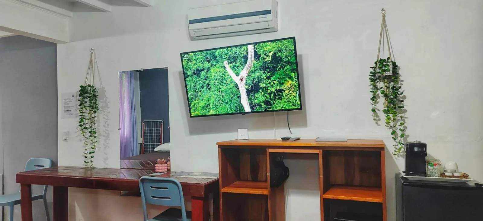 TV and multimedia in Jungle Beach Hotel Manuel Antonio