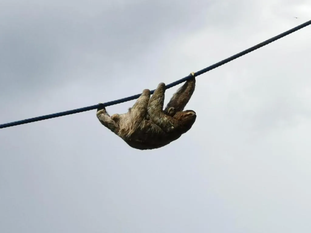 Day in Jungle Beach Hotel Manuel Antonio