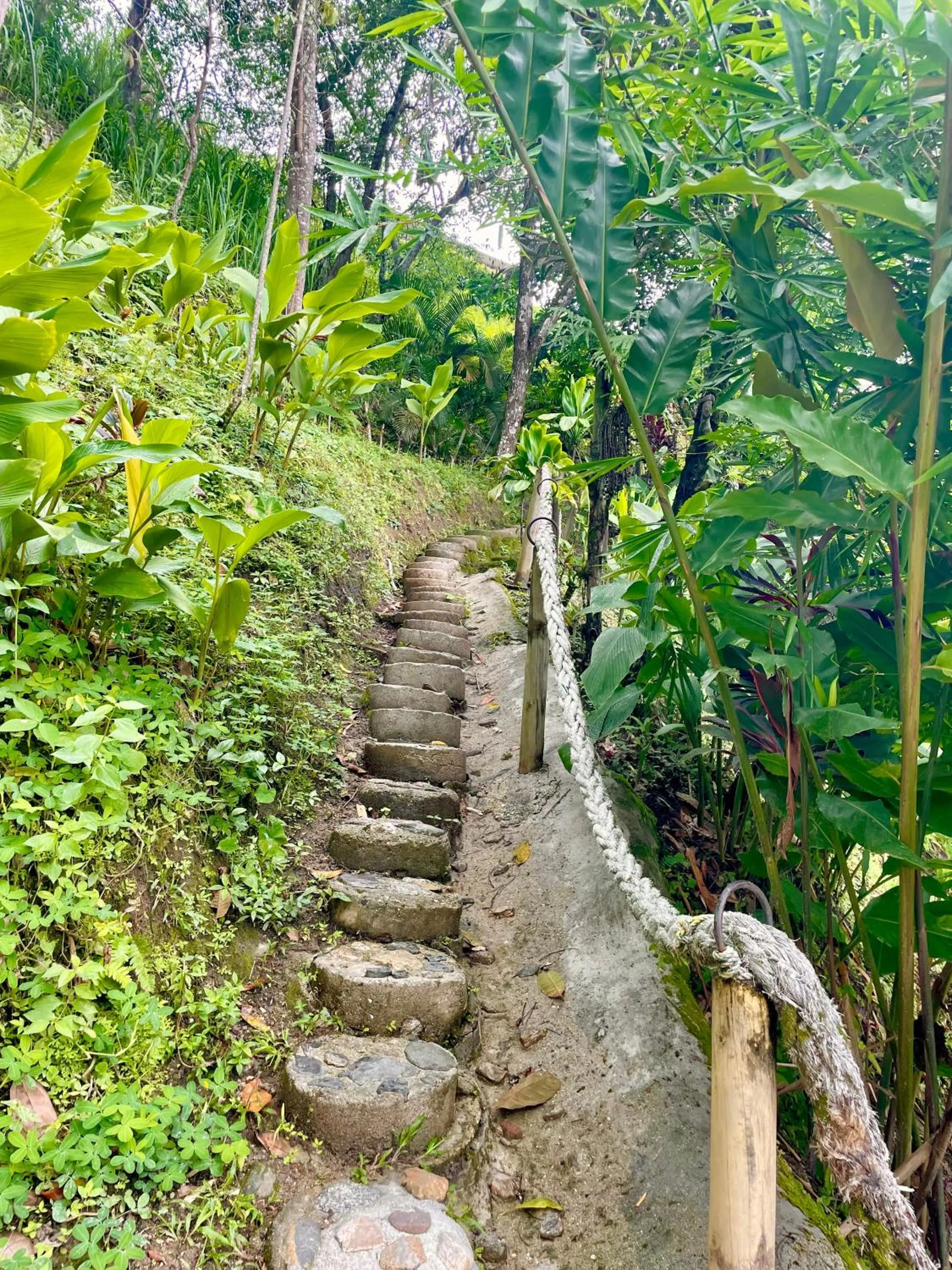 Entertainment in Minca Ecohabs Hotel