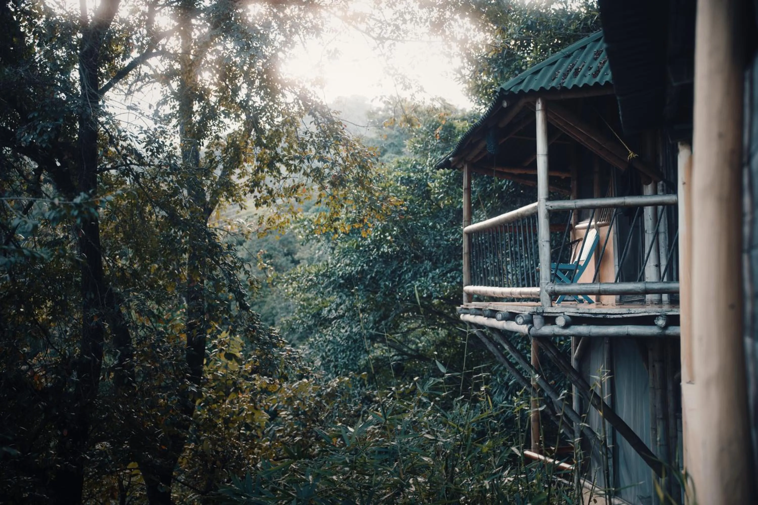 Natural landscape in Minca Ecohabs Hotel