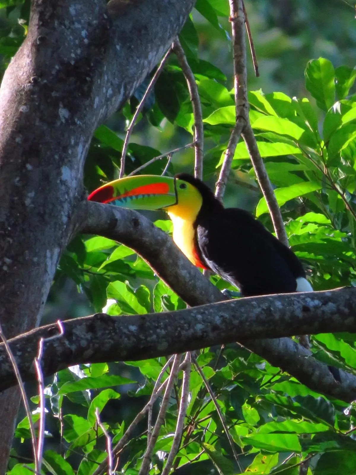 Activities in Minca Ecohabs Hotel