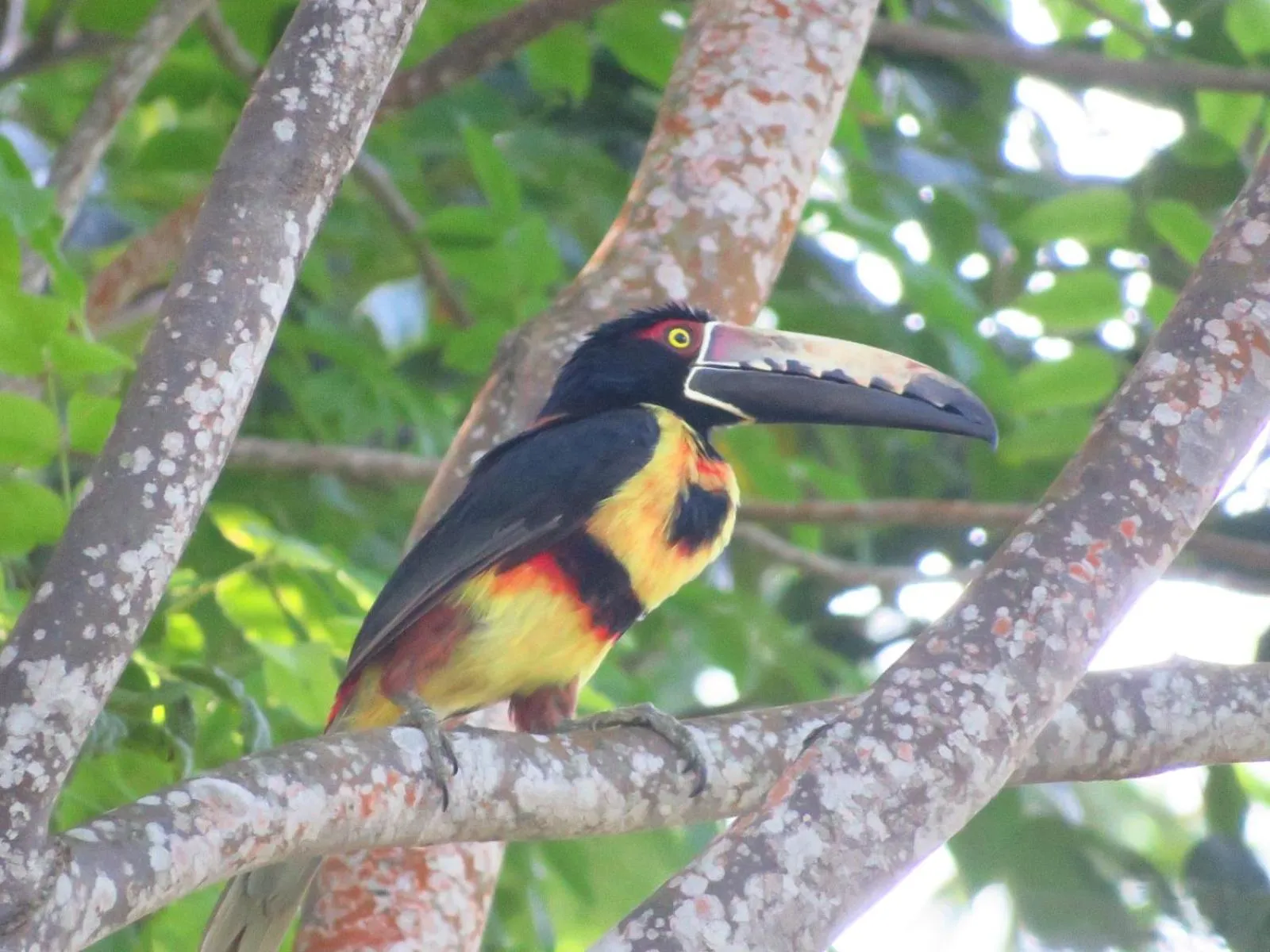 Activities in Minca Ecohabs Hotel