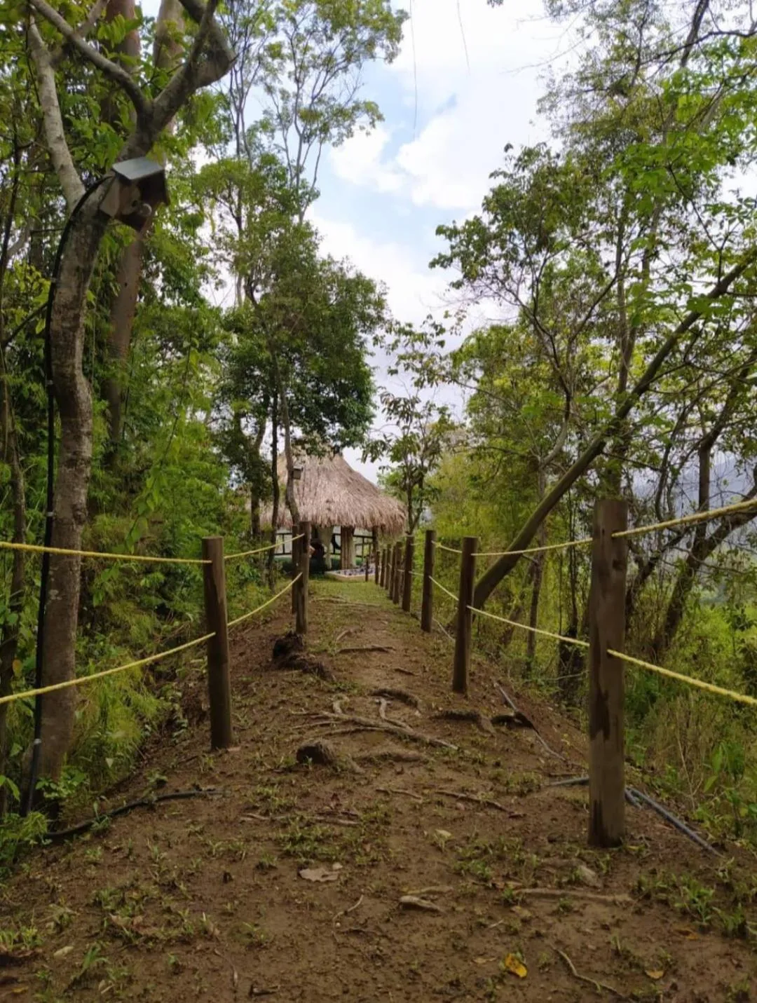 Spa and wellness centre/facilities in Minca Ecohabs Hotel