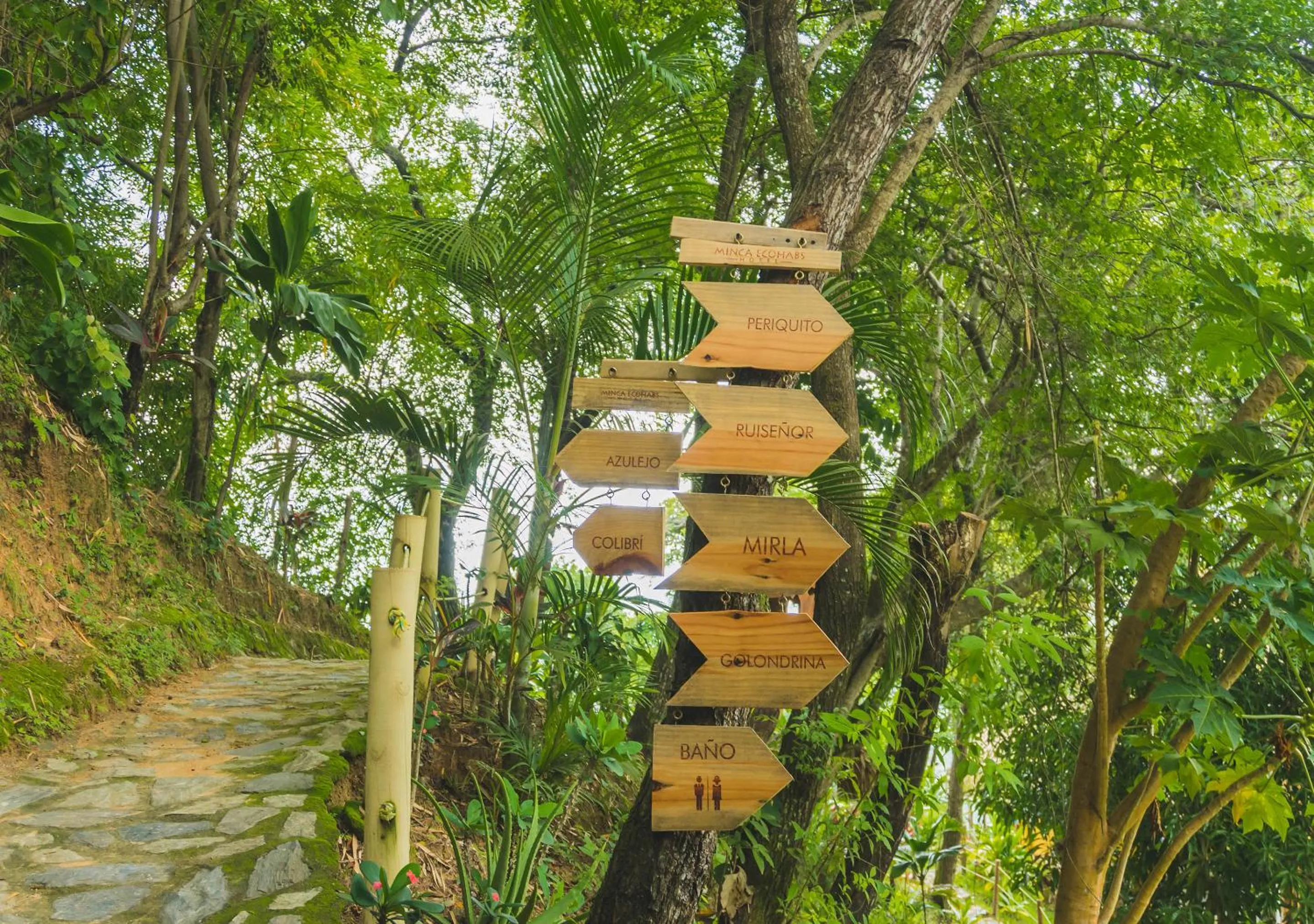 Natural landscape in Minca Ecohabs Hotel