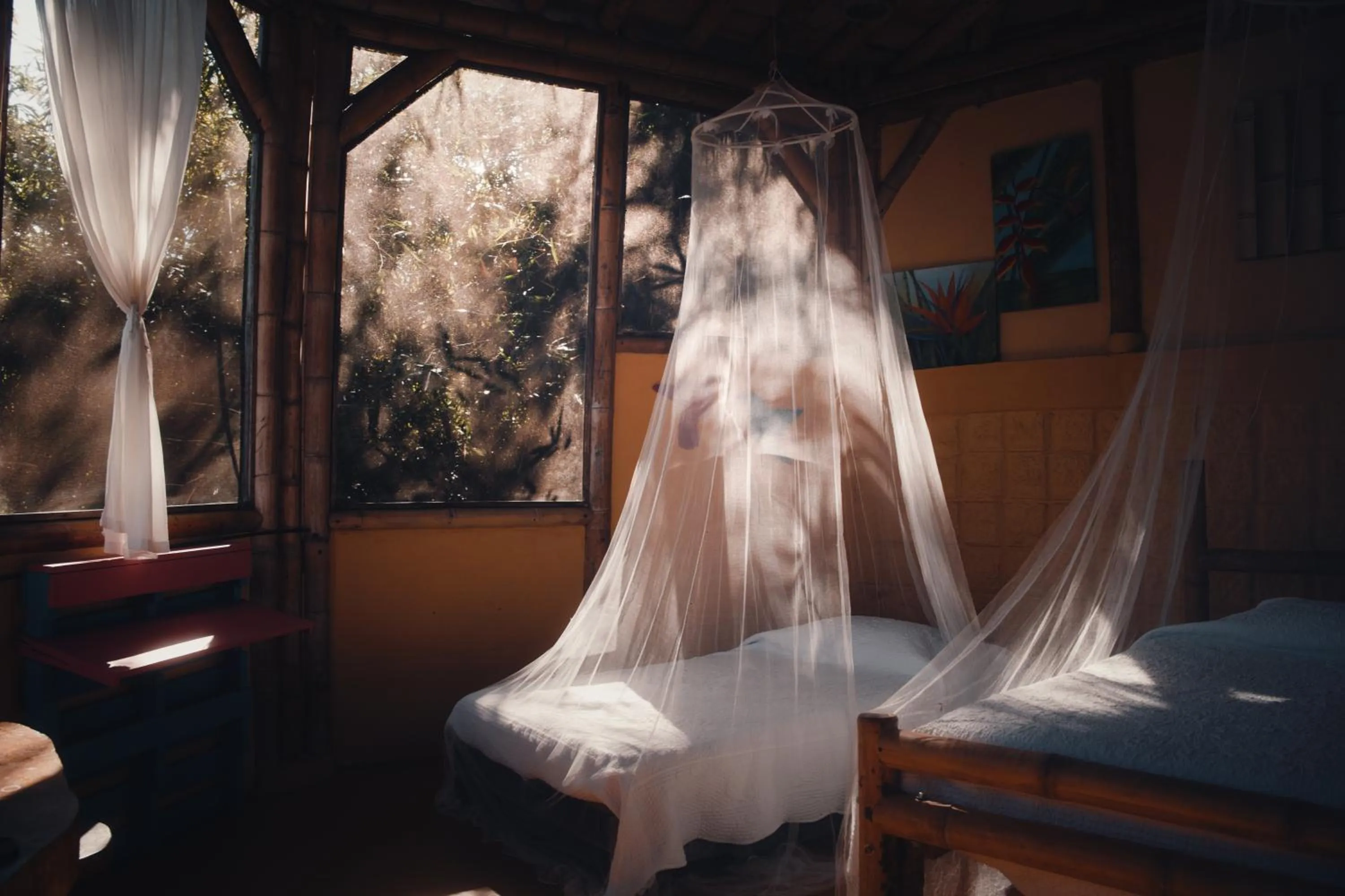 Decorative detail in Minca Ecohabs Hotel