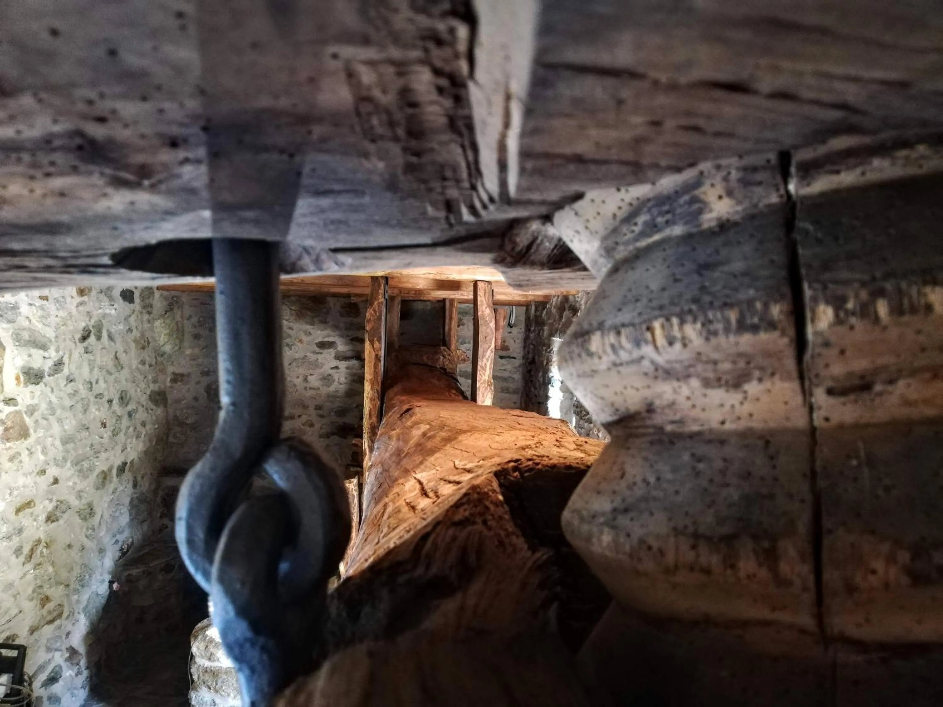 Restaurant/places to eat in B&B Al Vecchio Torchio