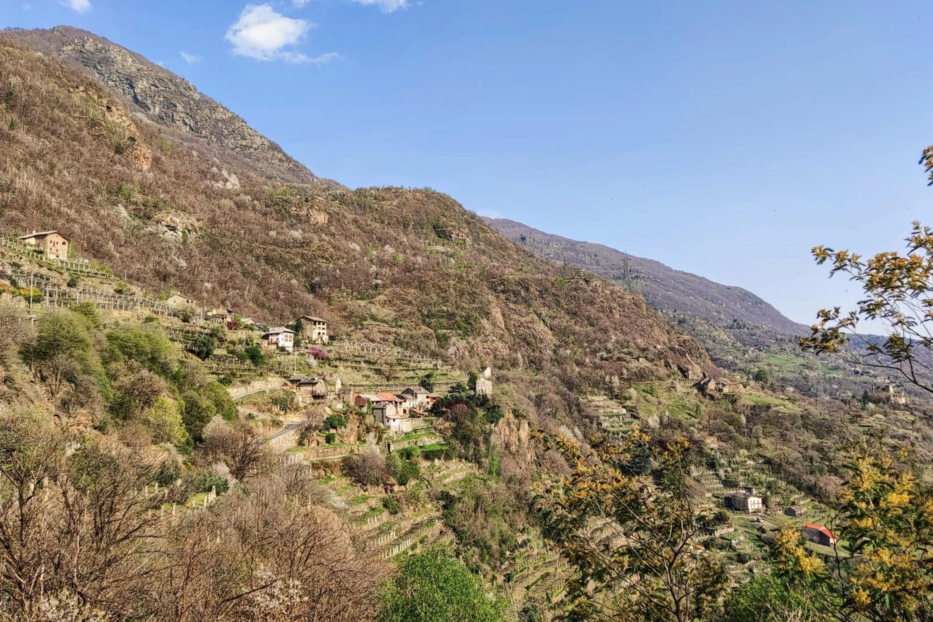 Natural landscape in B&B Al Vecchio Torchio