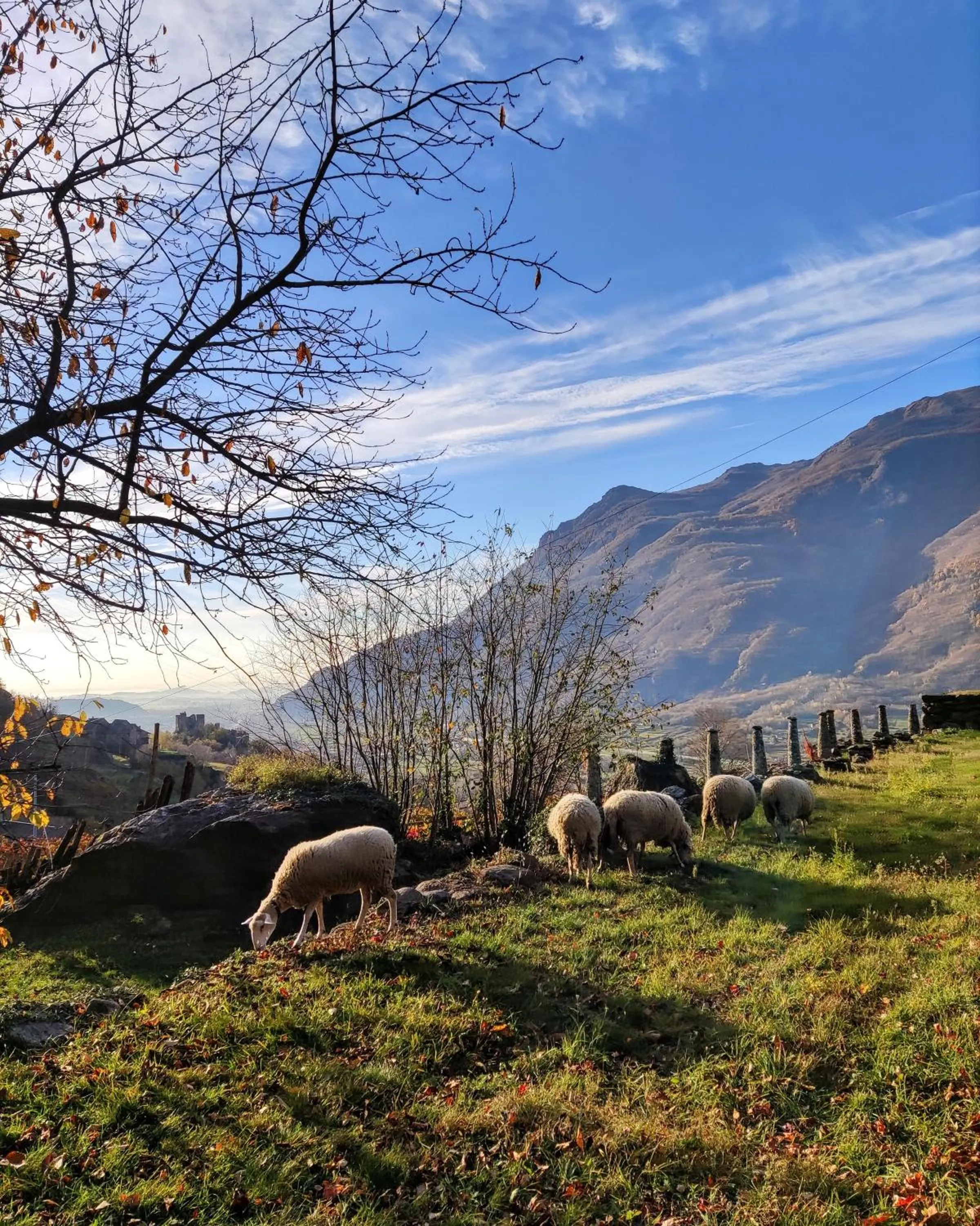 Natural landscape in B&B Al Vecchio Torchio