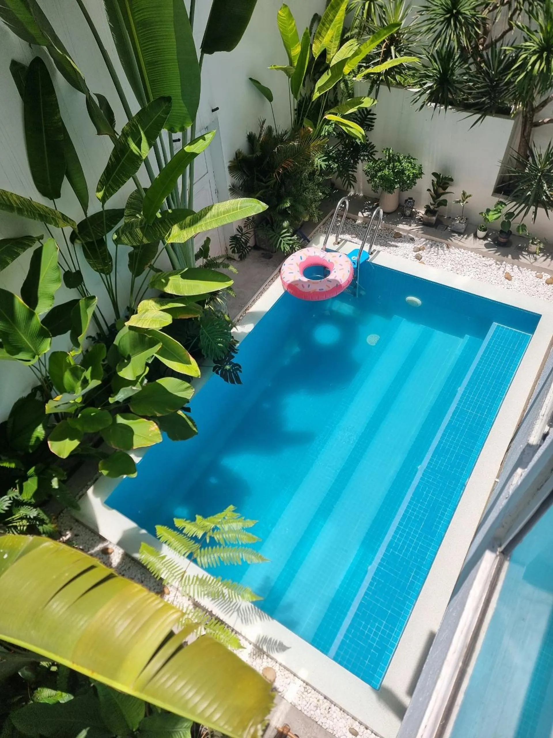 Pool view in LaDa's House Da Nang
