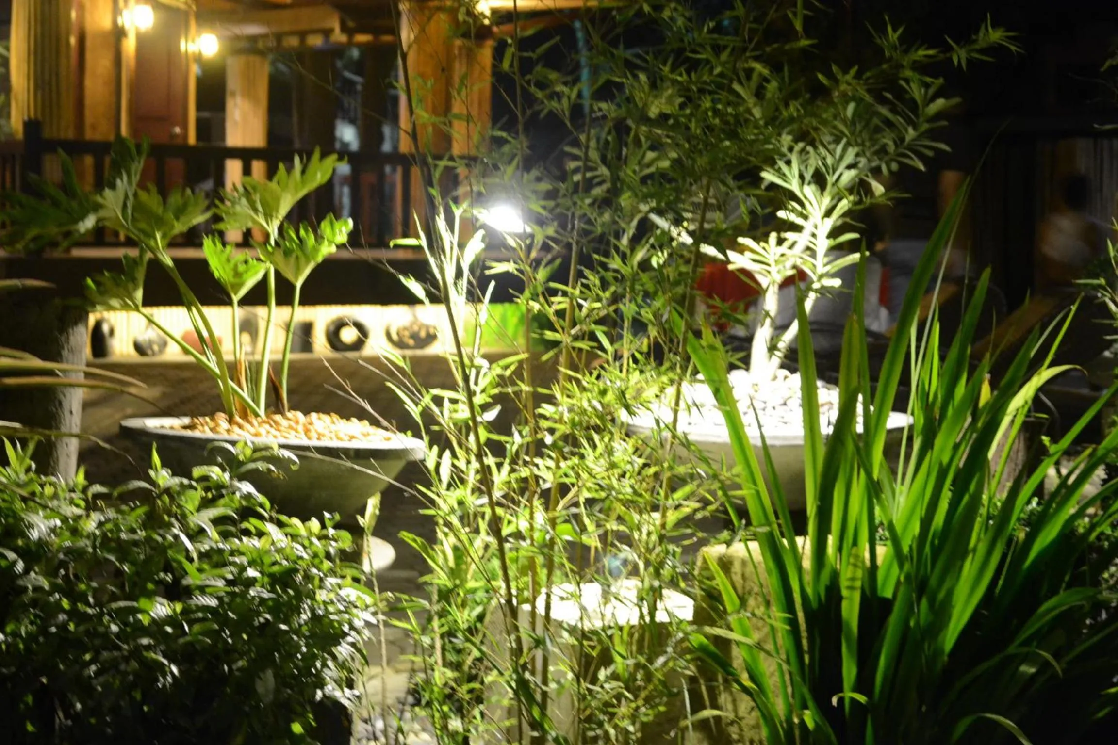 Other in DM Residente Hotel Inns & Villas