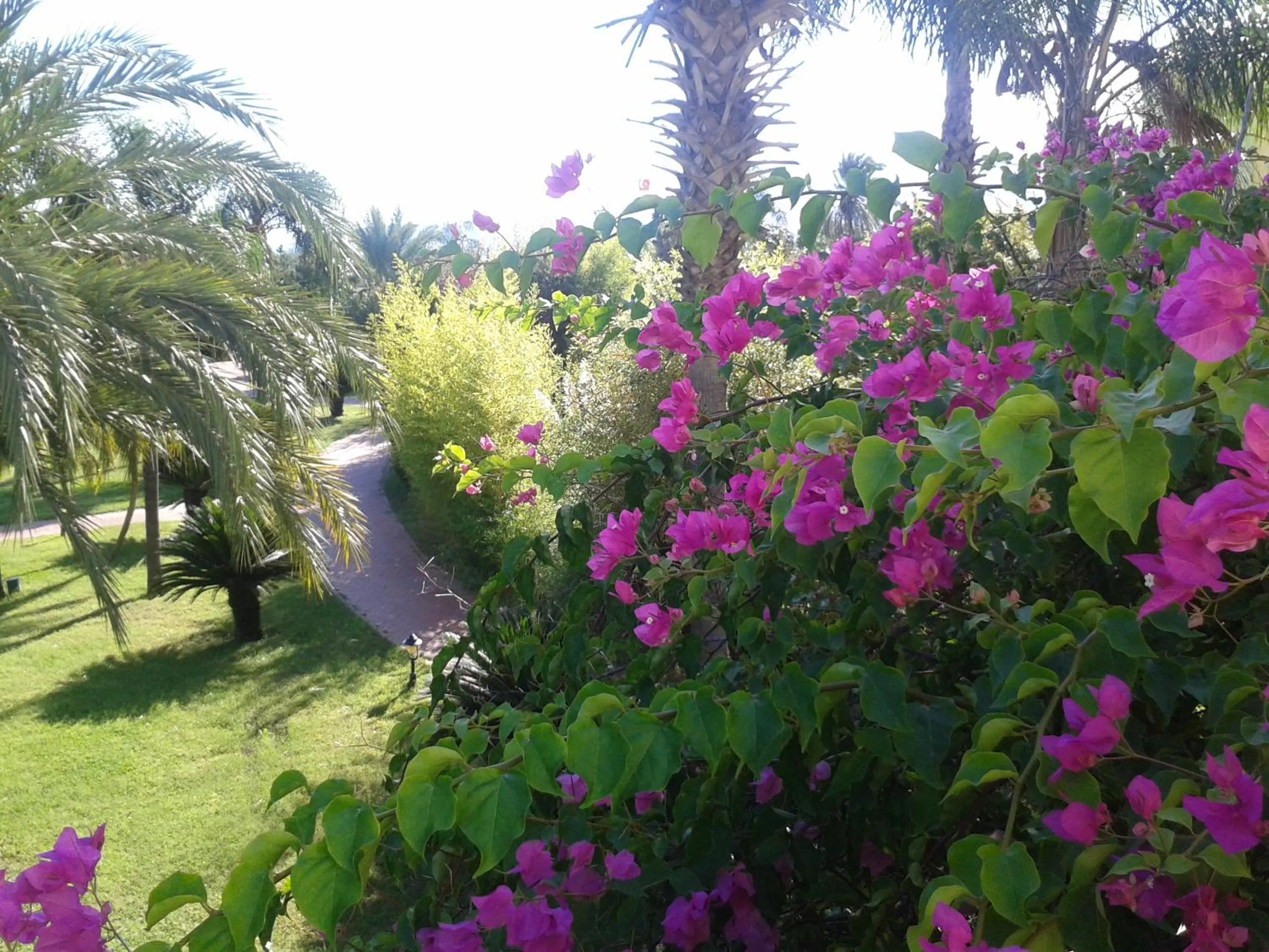 Spring in Presa Di Finica Hotel