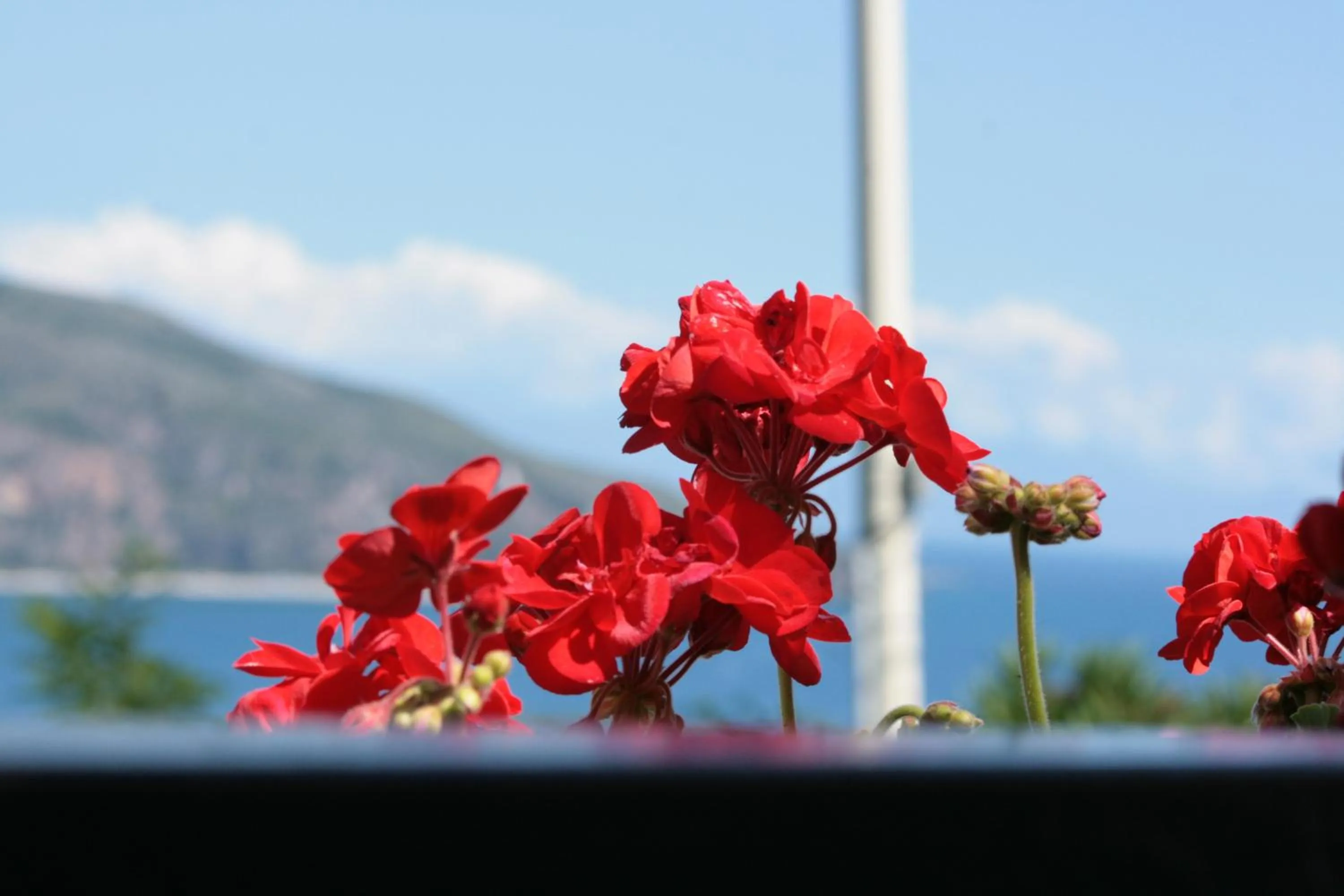 Natural landscape in B&B La Carminella
