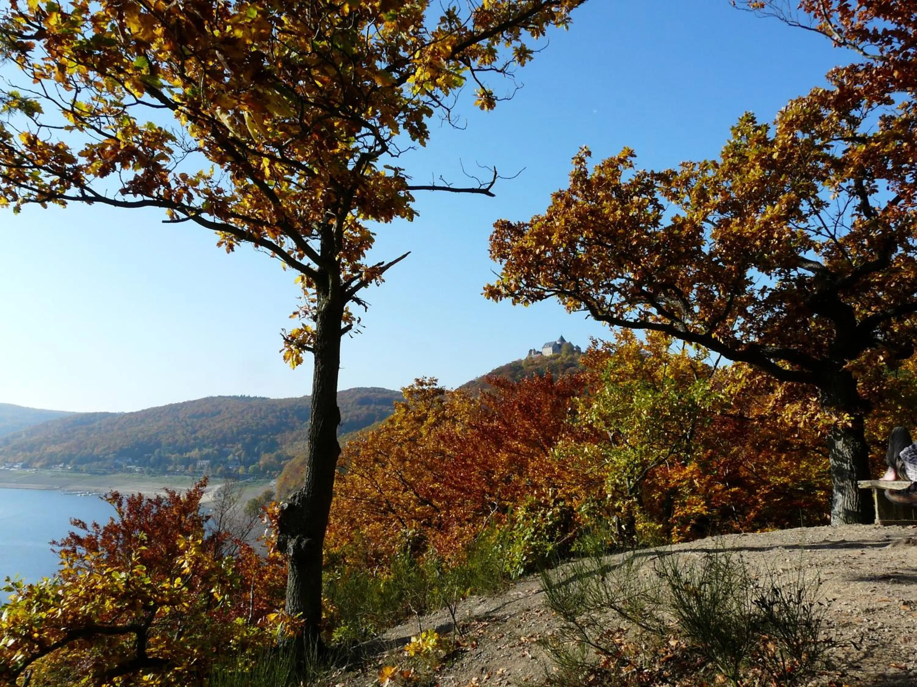 BELVEDERE - das BIO HOTEL Garni & SuiteHotel am Edersee ! Unser Geschenk für Sie, auch die GästeCard GrimmHeimat!