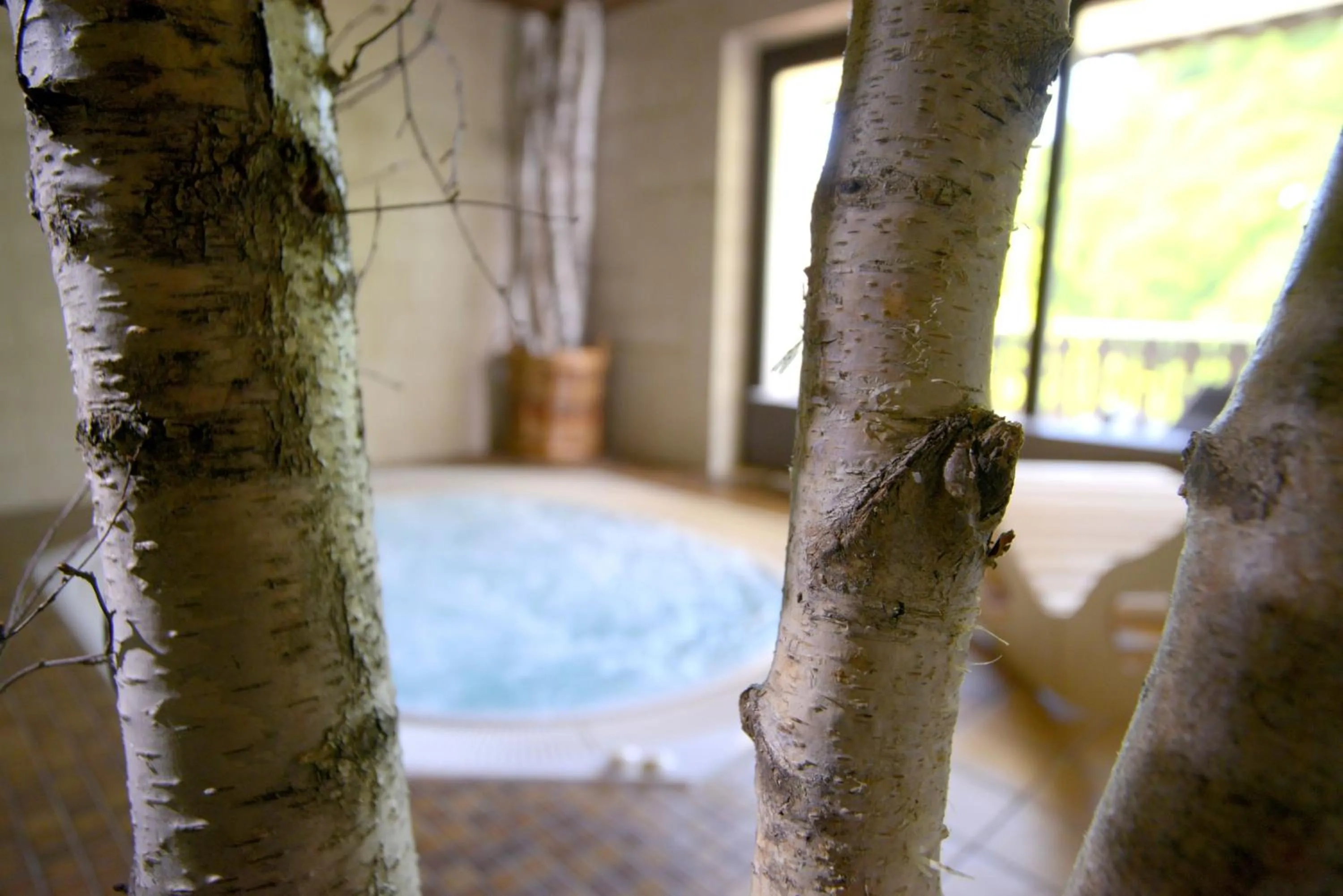 Other in BELVEDERE - das BIO HOTEL Garni & SuiteHotel am Edersee ! Unser Geschenk für Sie, auch die GästeCard GrimmHeimat!