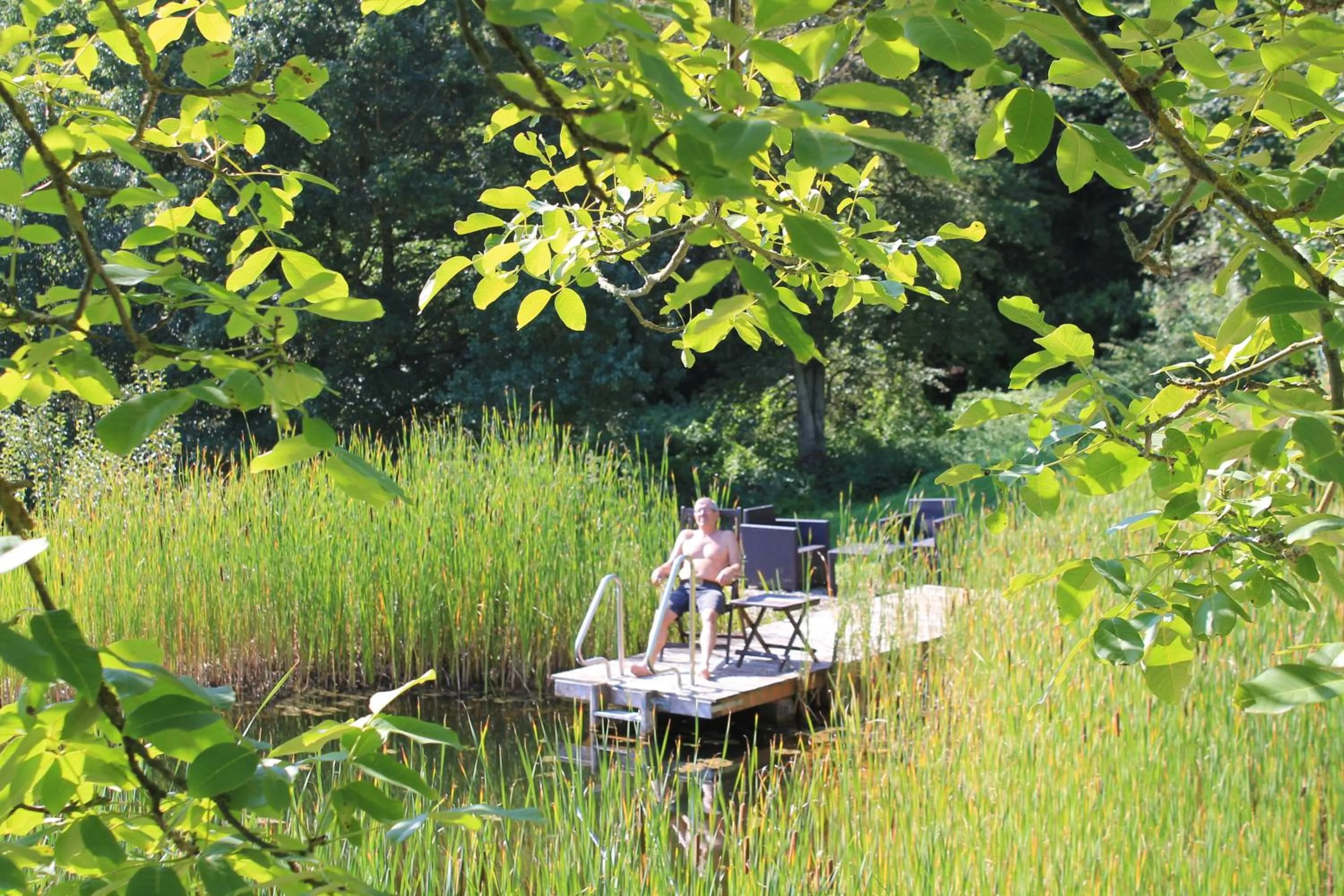 Swimming pool in BELVEDERE - das BIO HOTEL Garni & SuiteHotel am Edersee ! Unser Geschenk für Sie, auch die GästeCard GrimmHeimat!