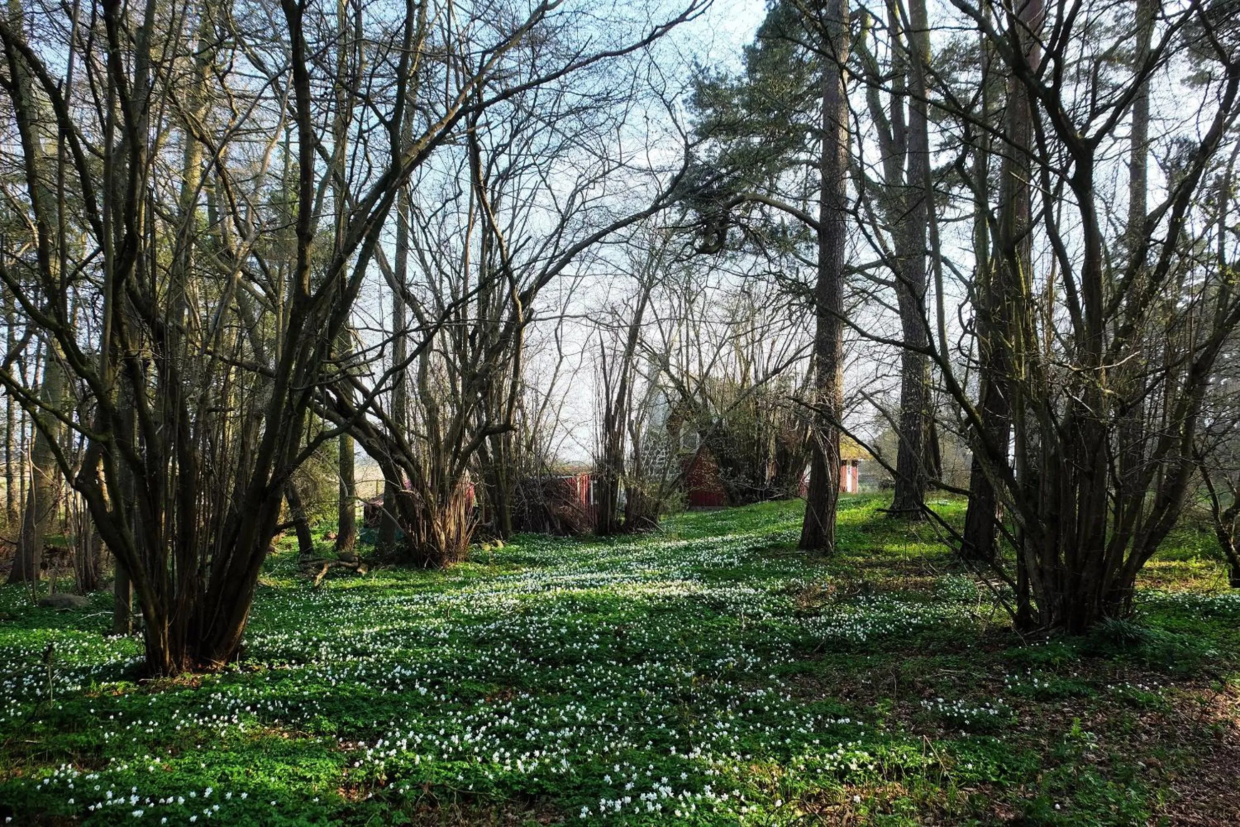 Nearby landmark in Bodelssons by the Sea