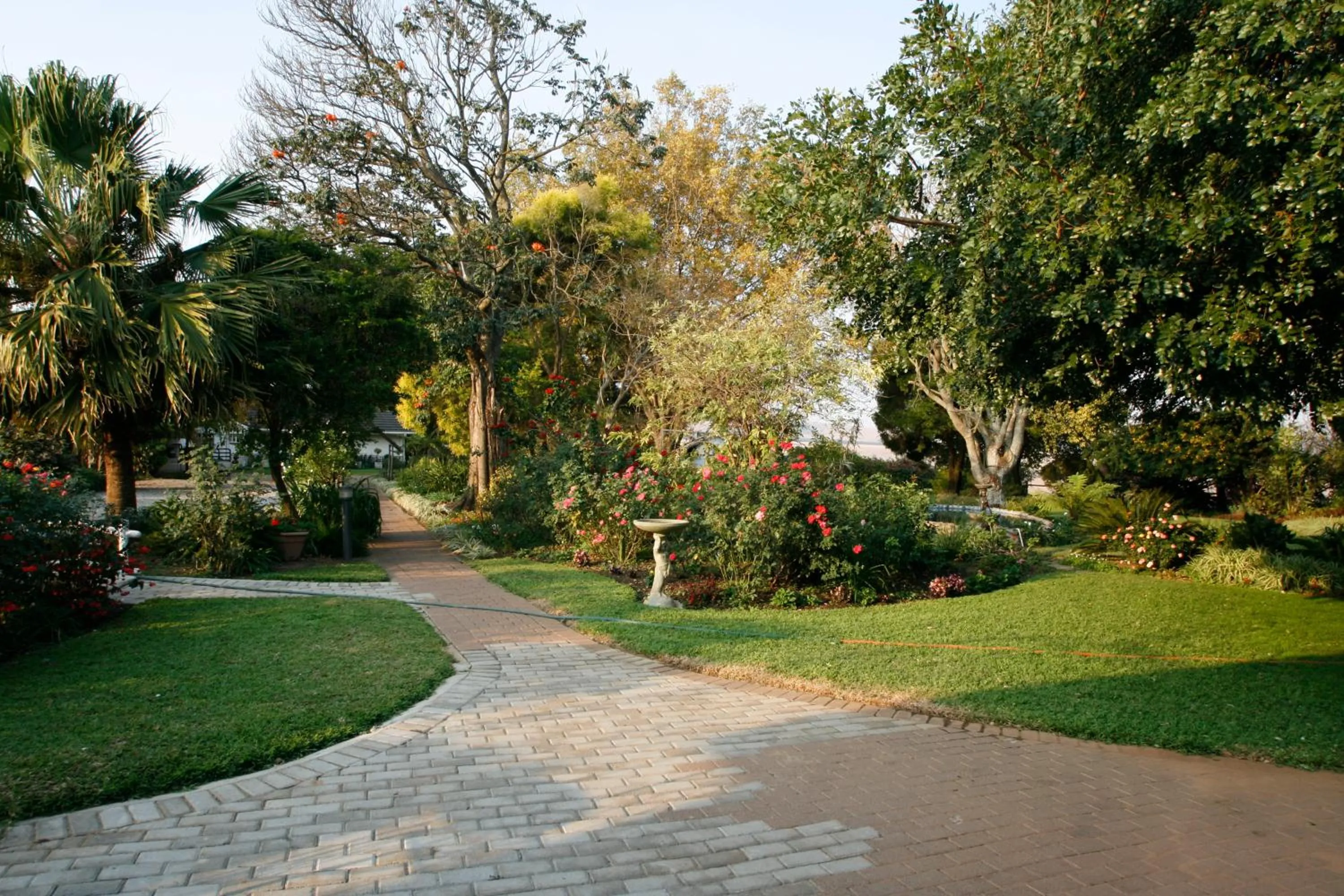 Garden in Dusk to Dawn Guesthouse