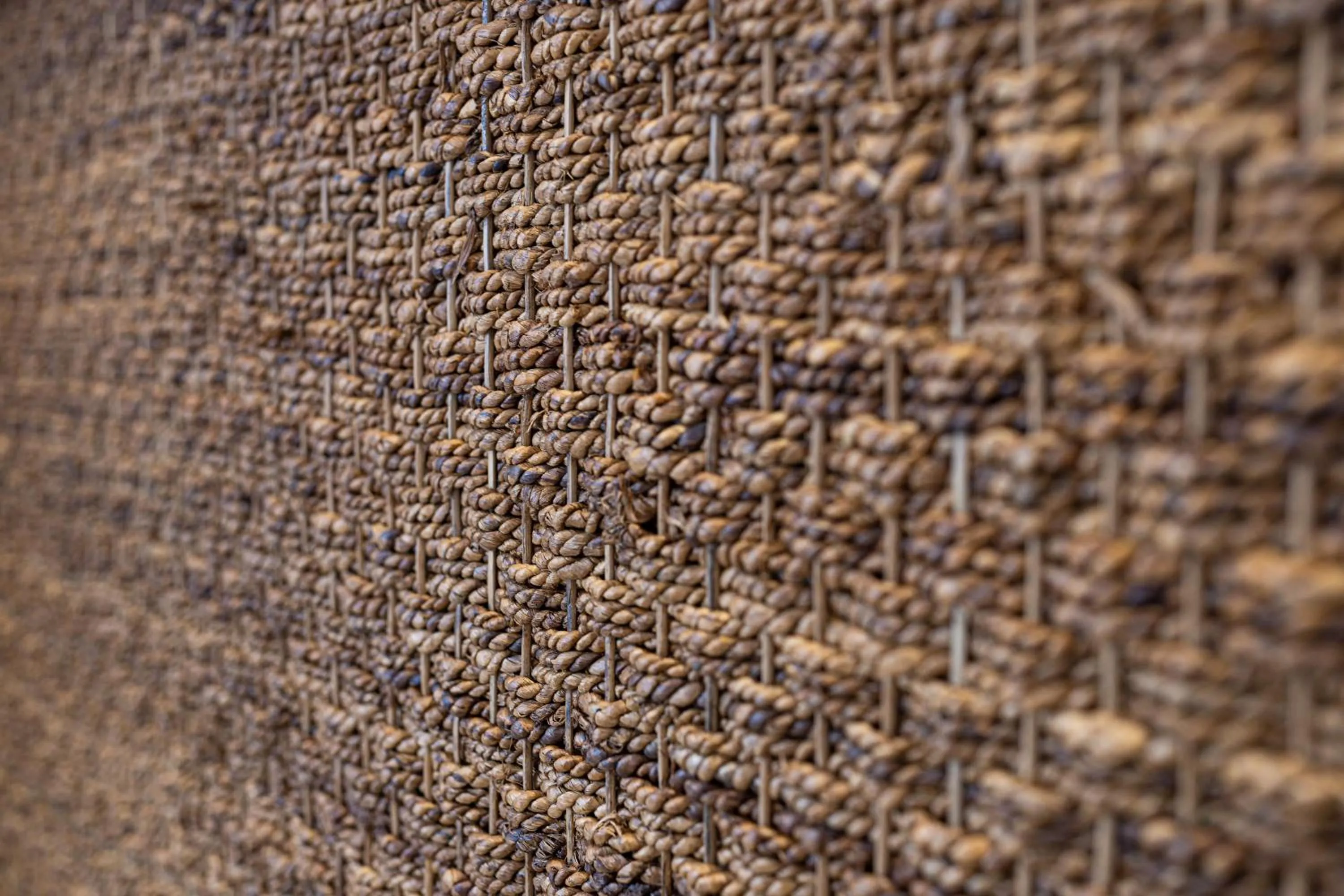 verykokkos collection suites mikri vigla